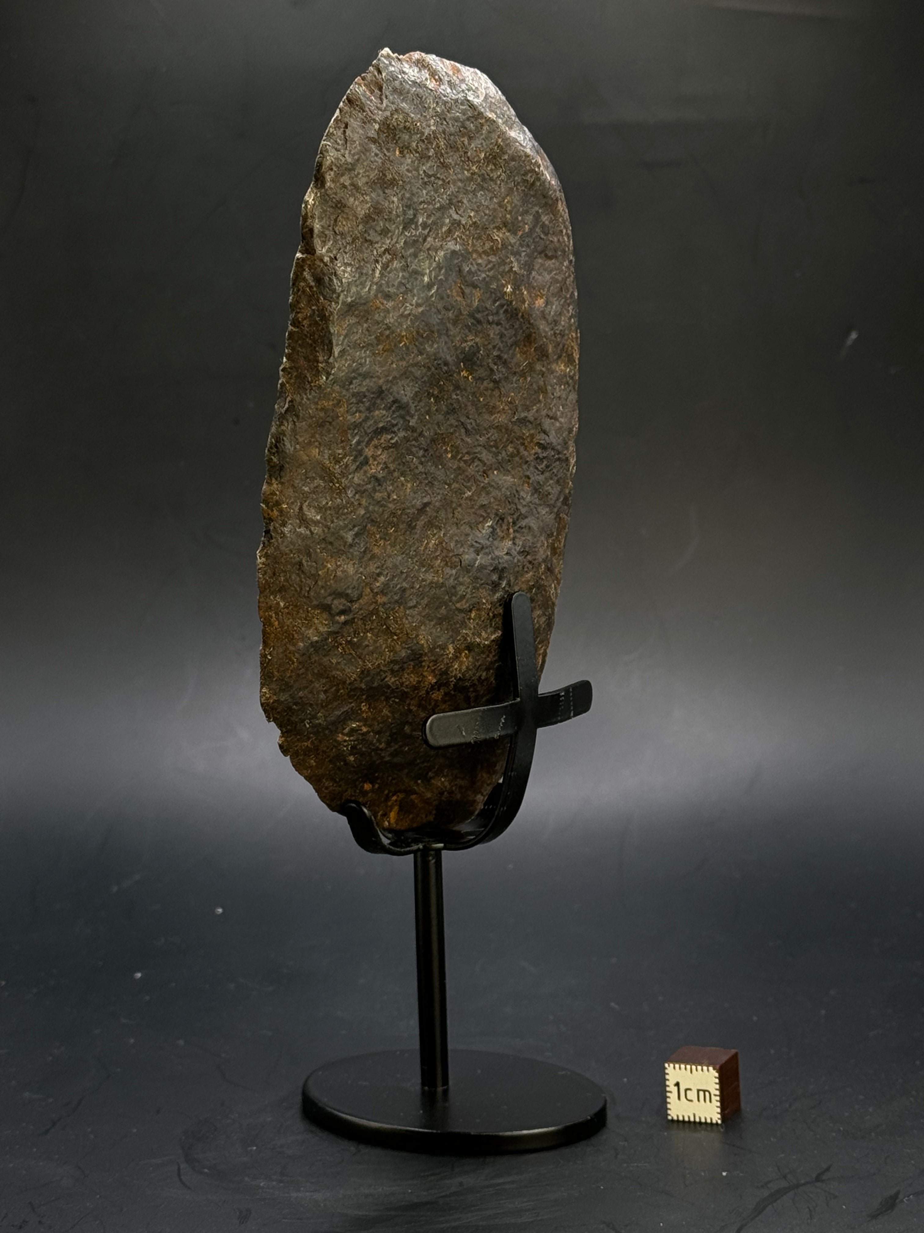 MUONIONALUSTA METEORITE, SWEDEN. 865 GRAMS END-CUT.