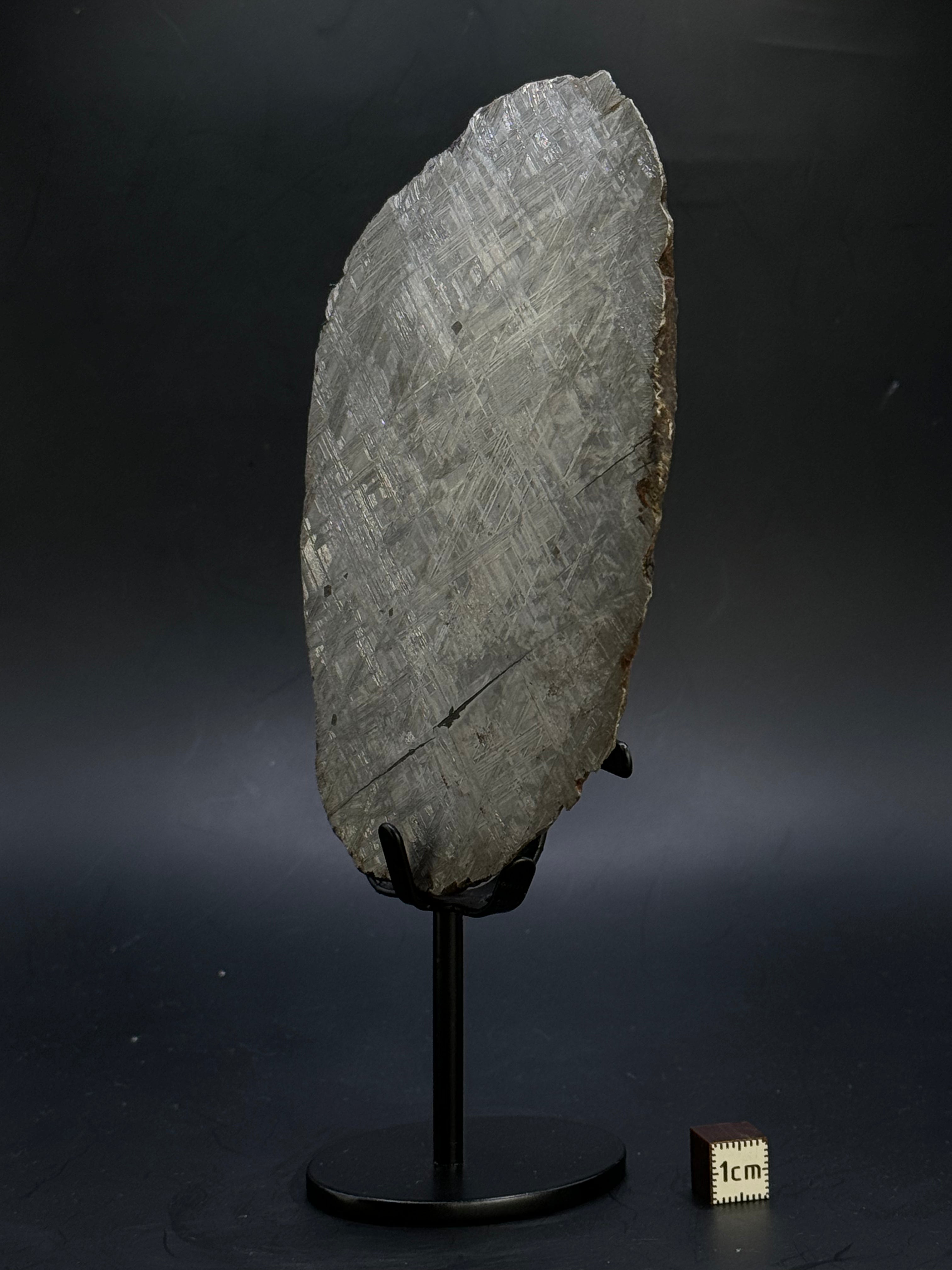 MUONIONALUSTA METEORITE, SWEDEN. 865 GRAMS END-CUT.