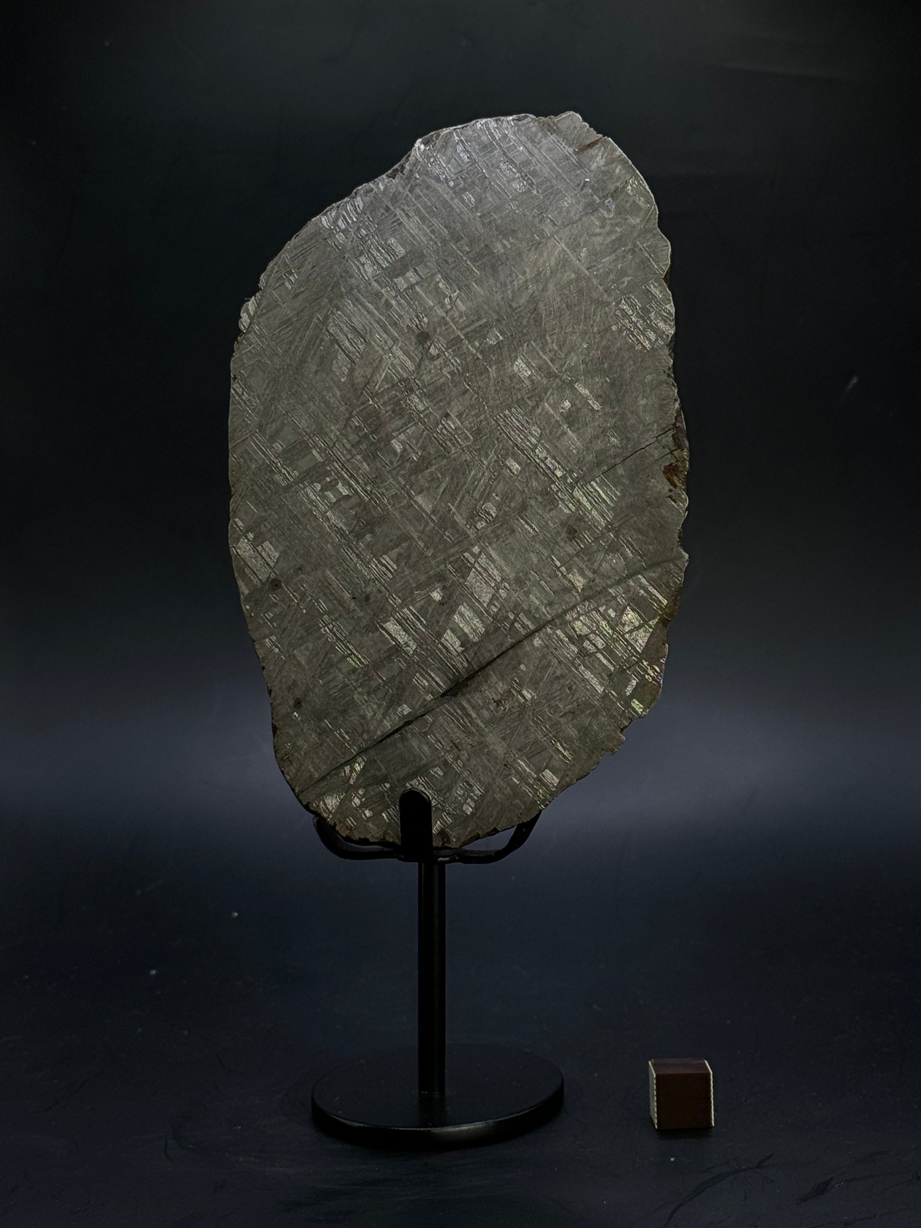 MUONIONALUSTA METEORITE, SWEDEN. 865 GRAMS END-CUT.