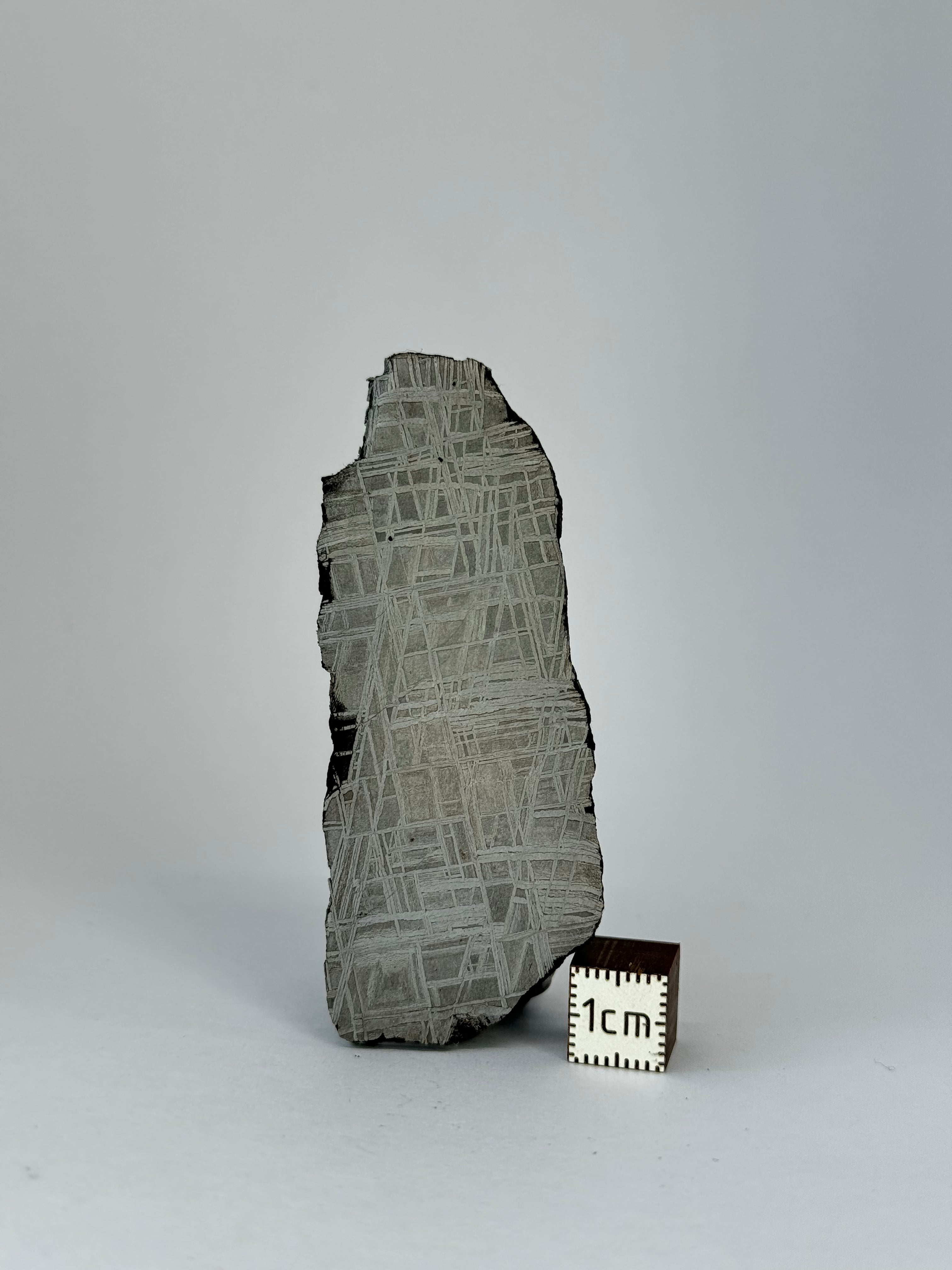 Muonionalusta meteorite, Sweden. 33,16 grams slice.