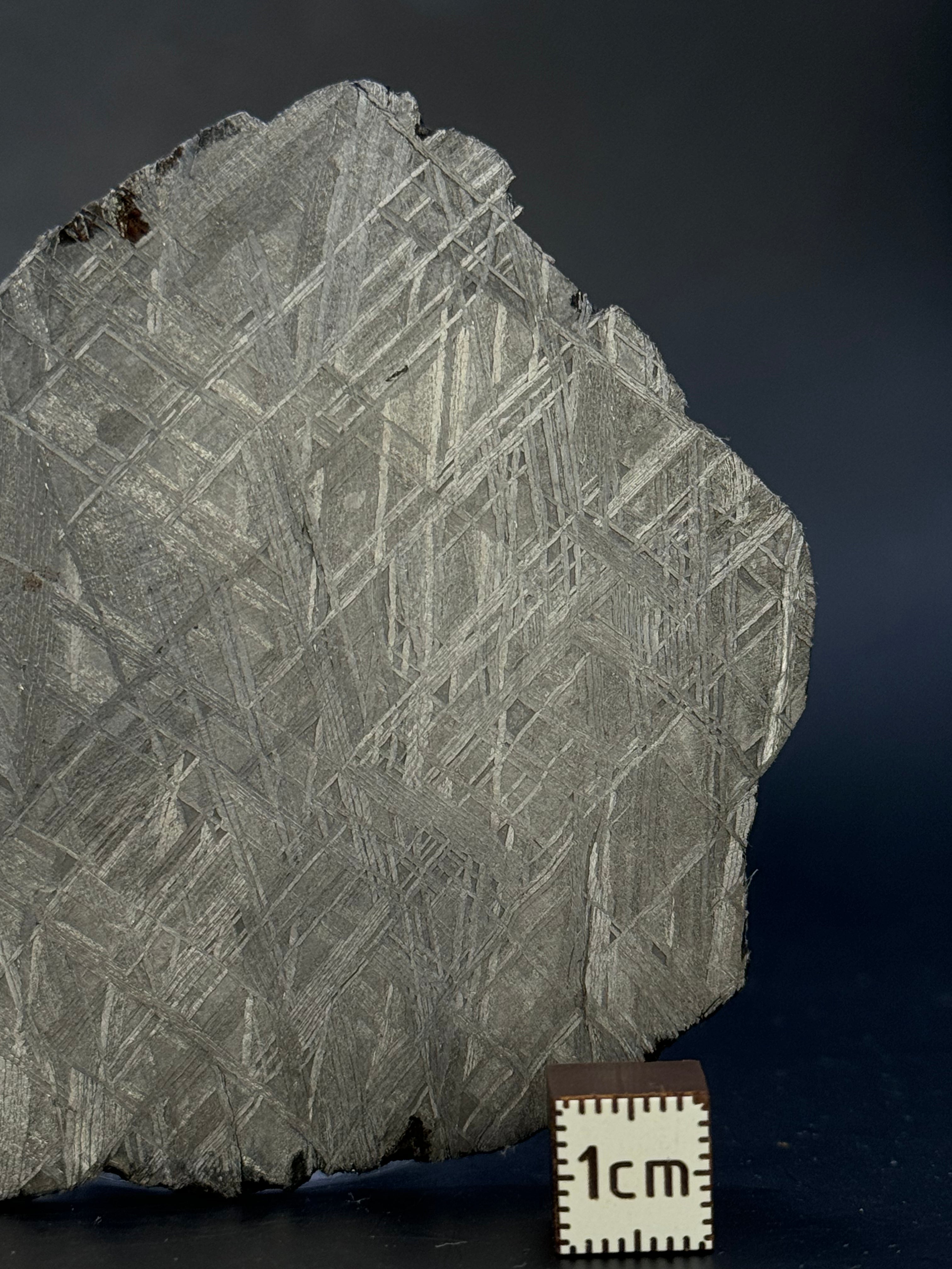 MUONIONALUSTA METEORITE, SWEDEN. 71,06 GRAMS.