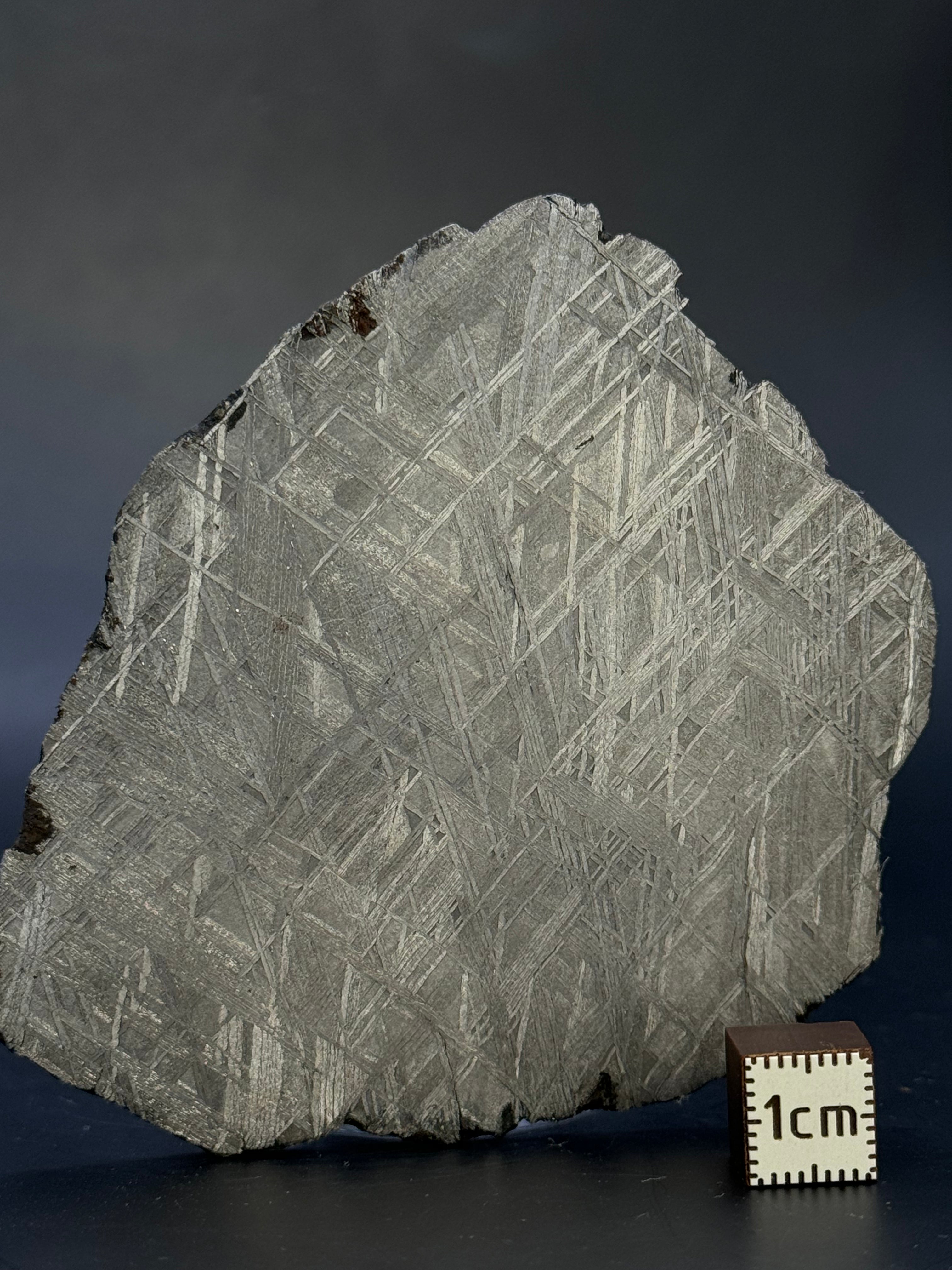 MUONIONALUSTA METEORITE, SWEDEN. 71,06 GRAMS.