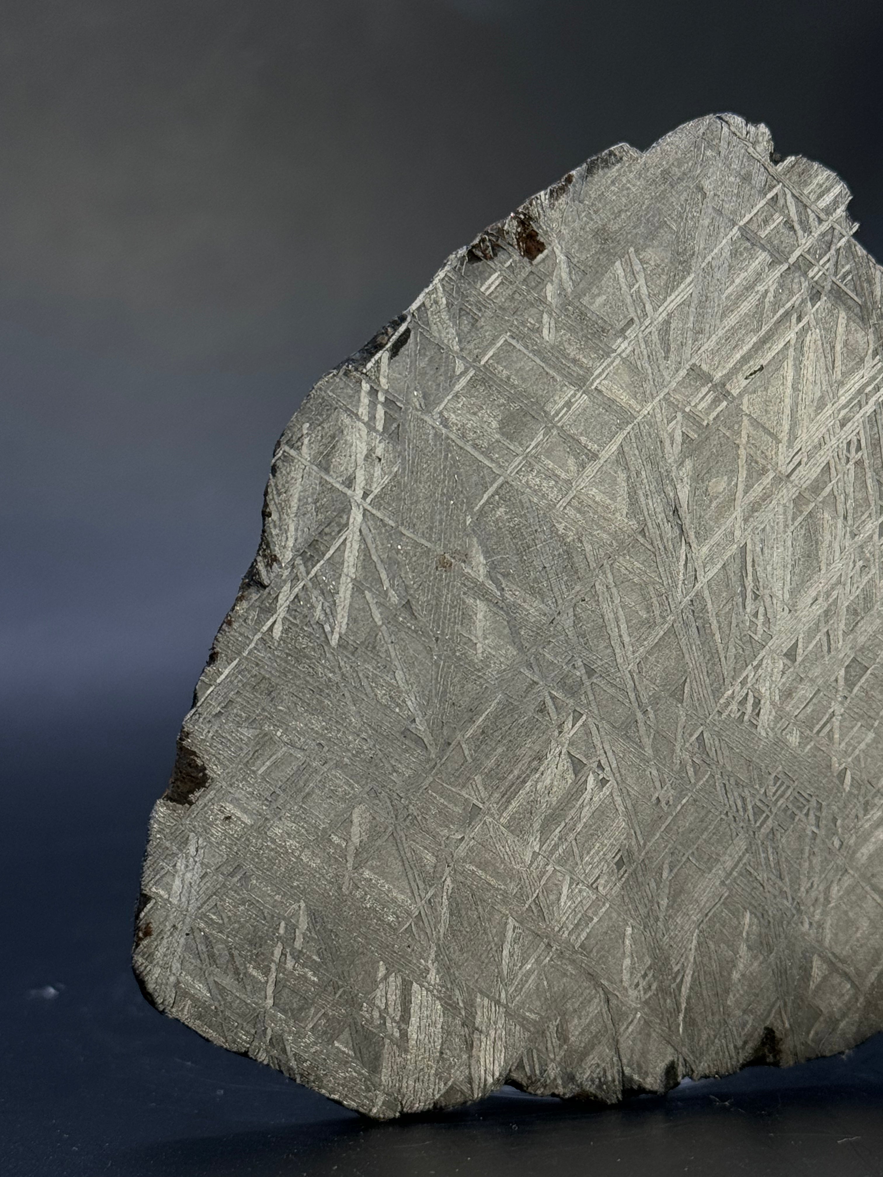 MUONIONALUSTA METEORITE, SWEDEN. 71,06 GRAMS.