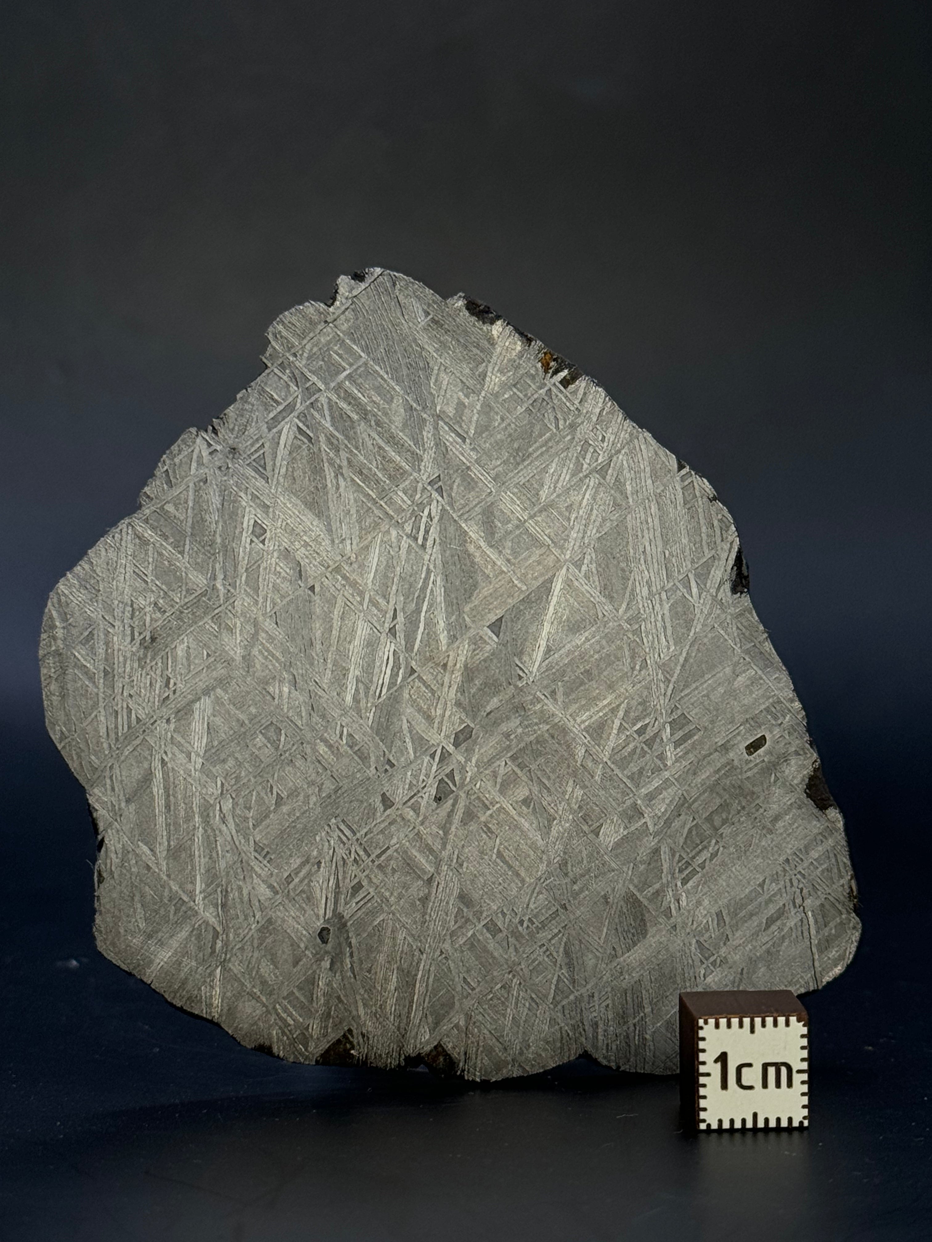 MUONIONALUSTA METEORITE, SWEDEN. 71,06 GRAMS.