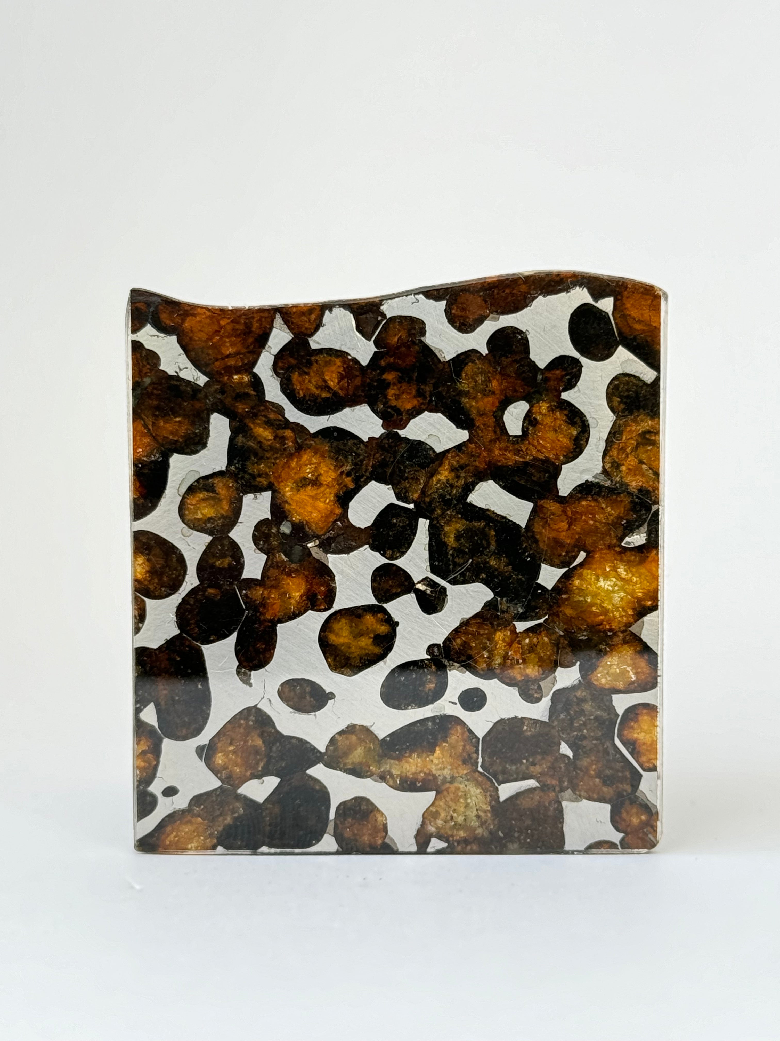 Sericho Meteorite, Kenya. 17,60 grams slice,