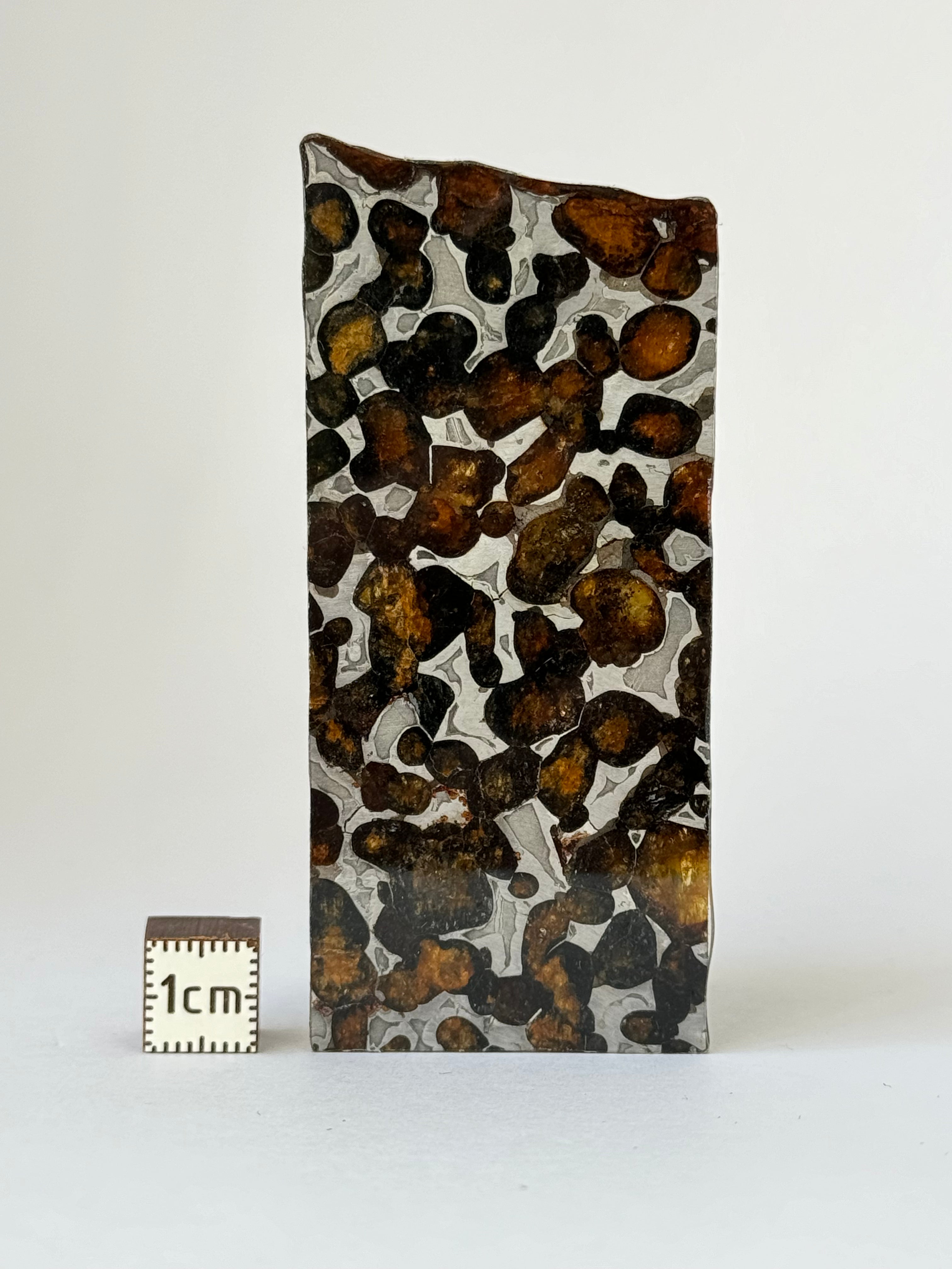 Sericho Meteorite, Kenya. 25,18 grams slice.