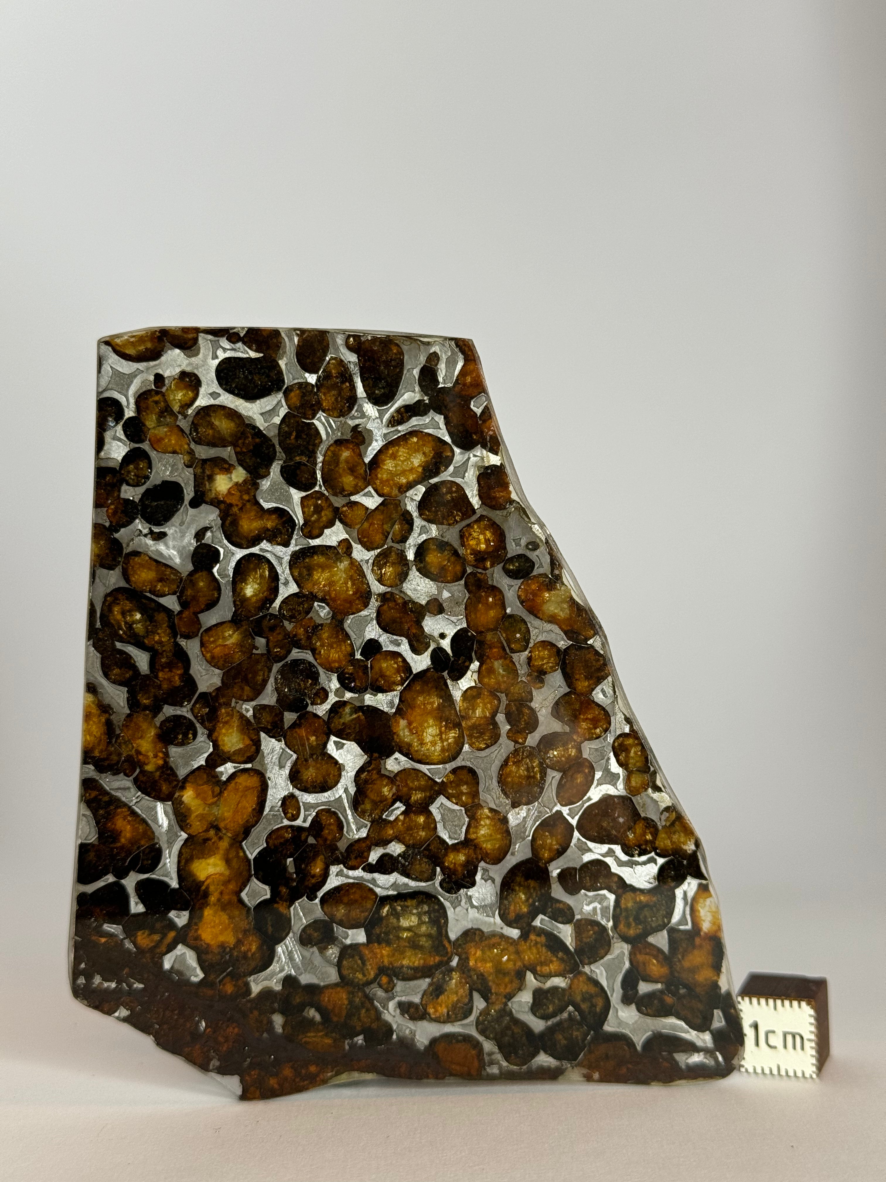 Sericho Meteorite, Kenya. 36,83 grams.
