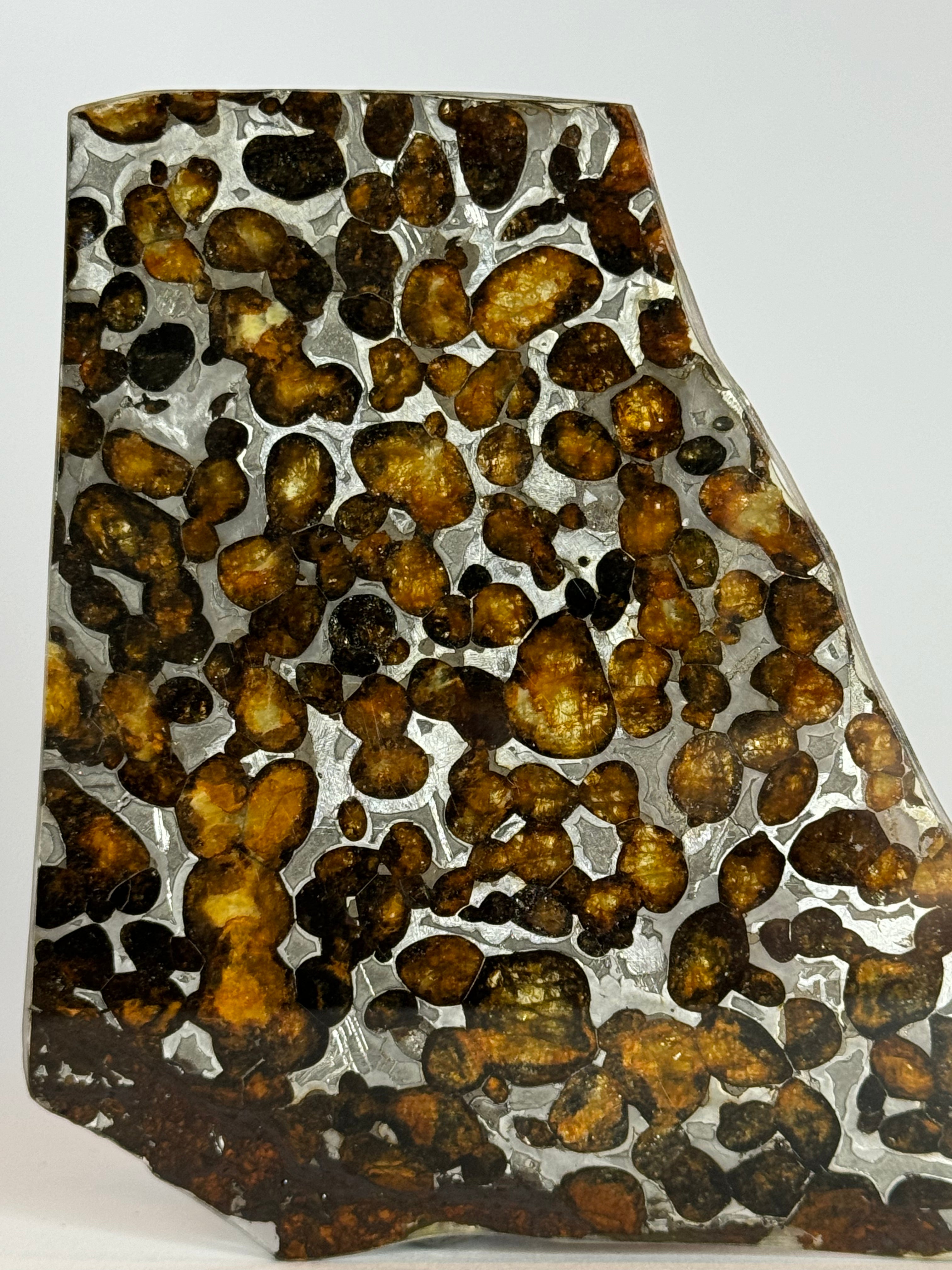 Sericho Meteorite, Kenya. 36,83 grams.