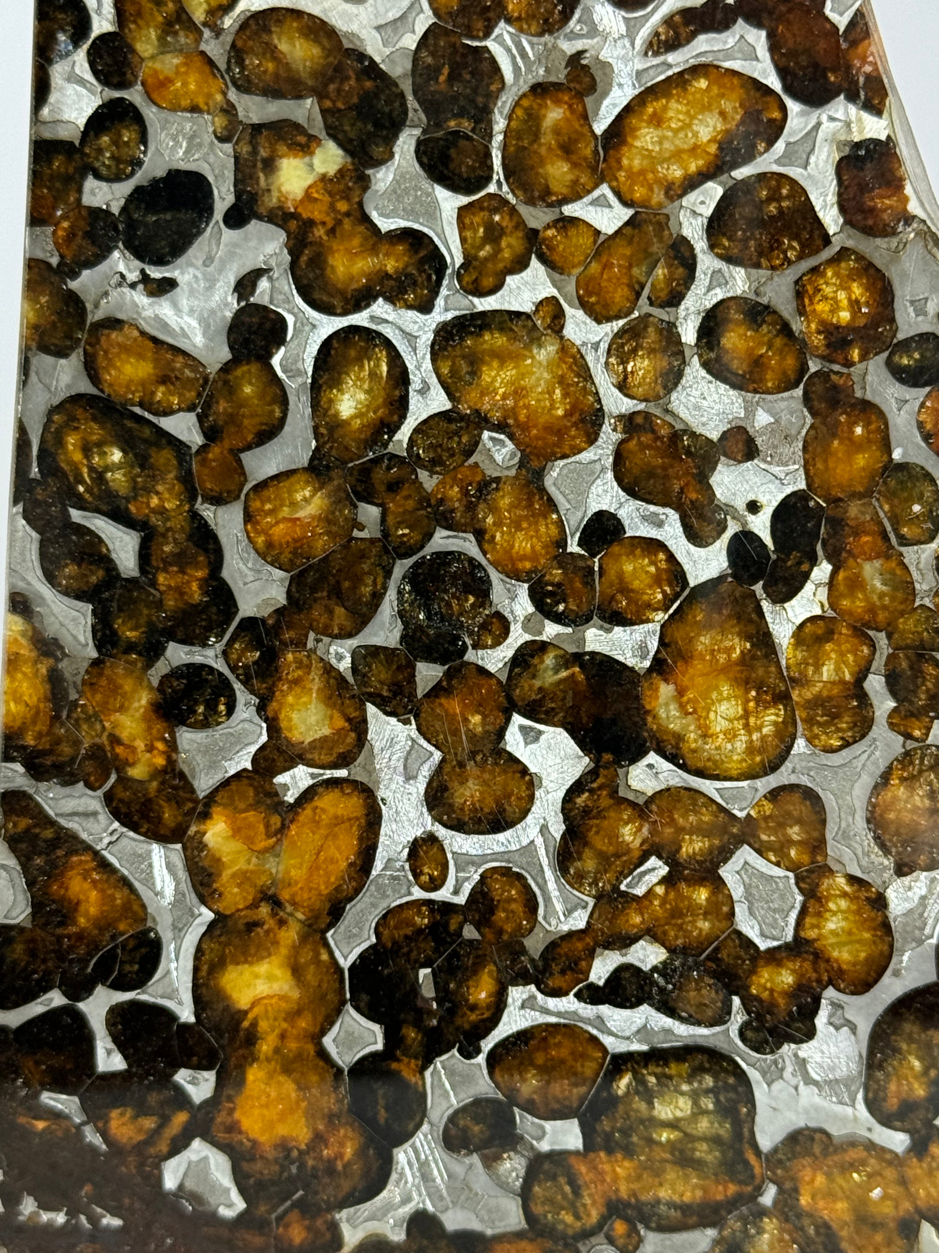 Sericho Meteorite, Kenya. 36,83 grams.