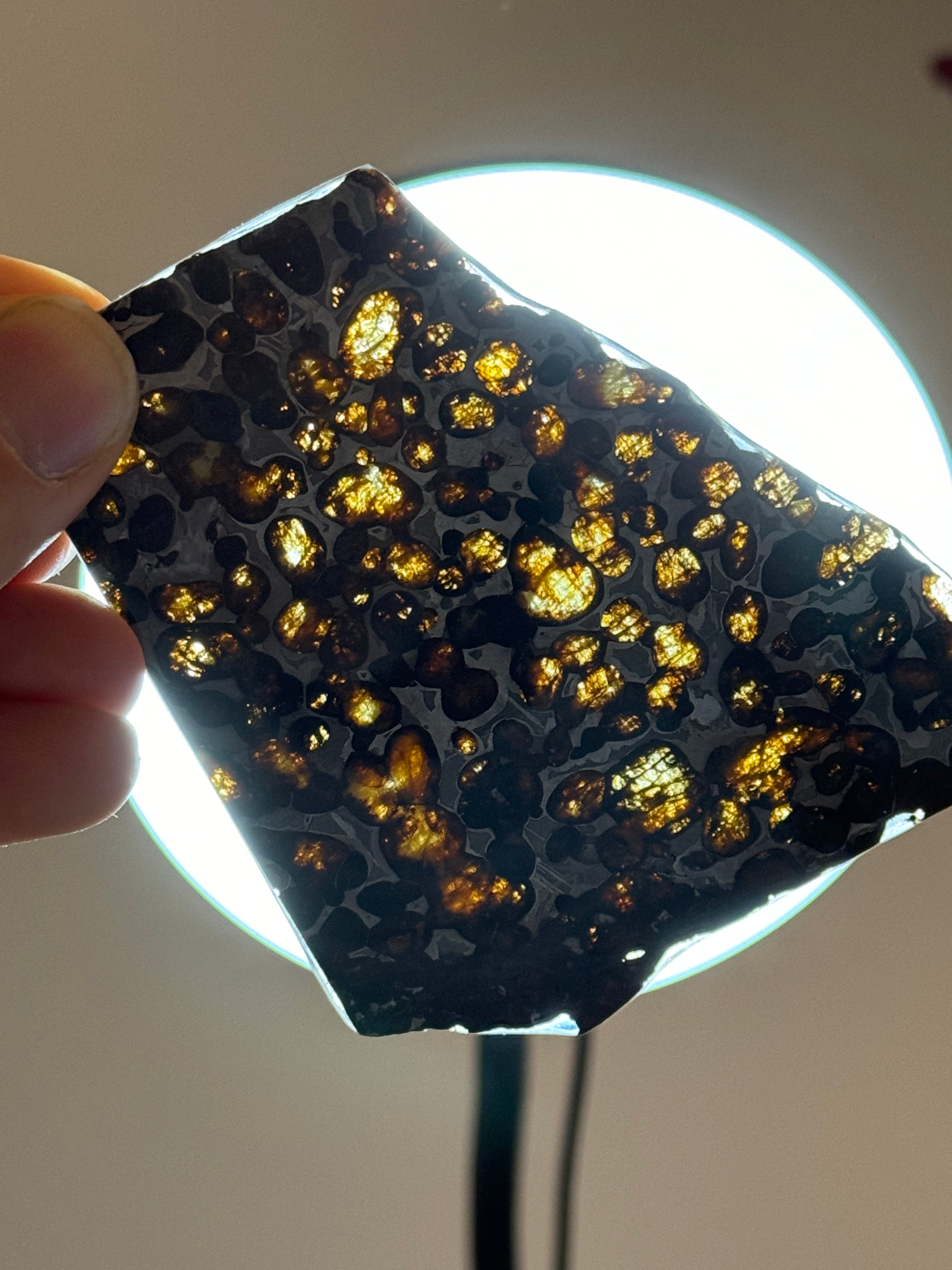 Sericho Meteorite, Kenya. 36,83 grams.