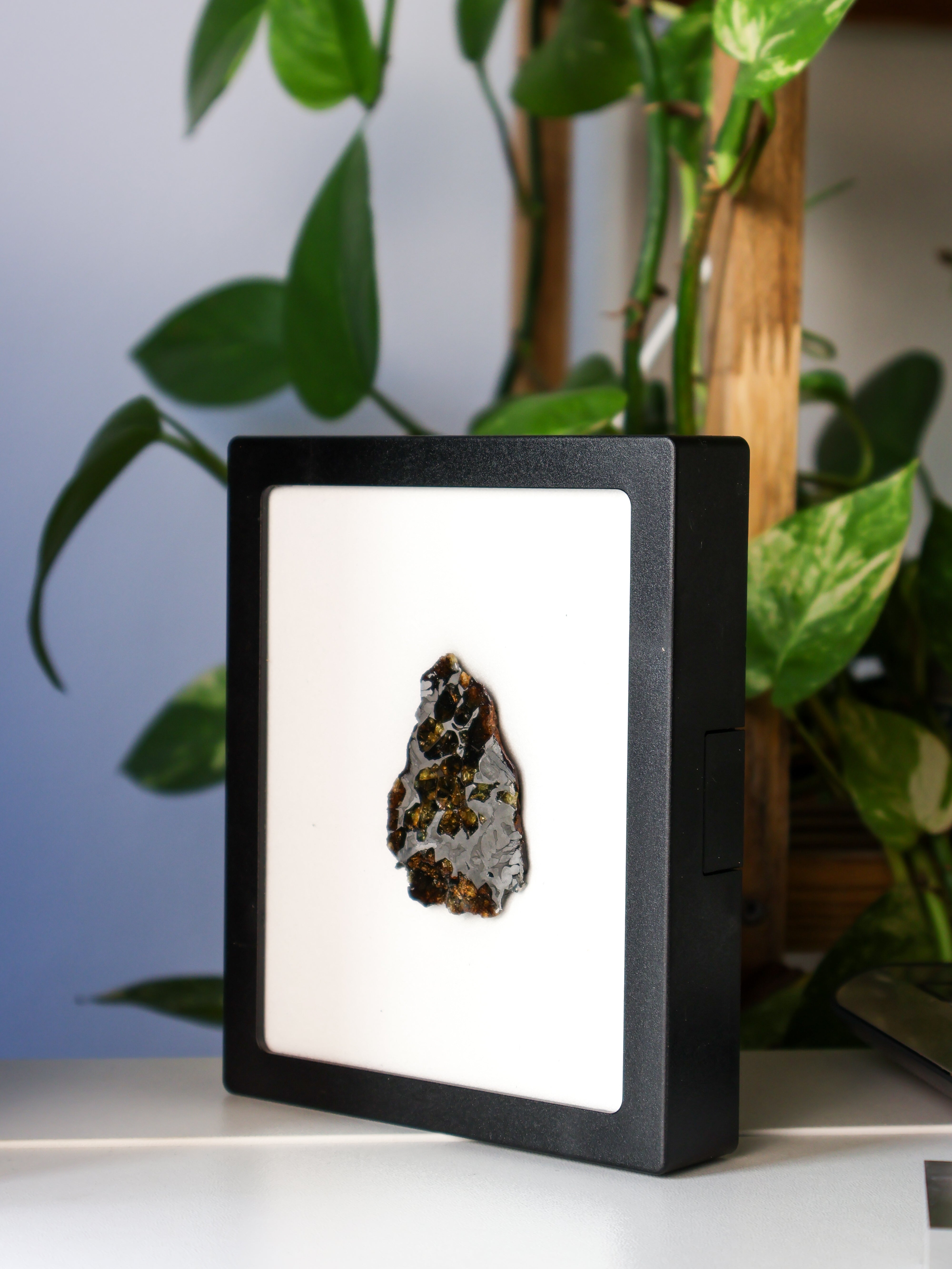 SEYMCHAN METEORITE, MAGADAN REGION, RUSSIA. 38,95 GRAMS END-CUT.