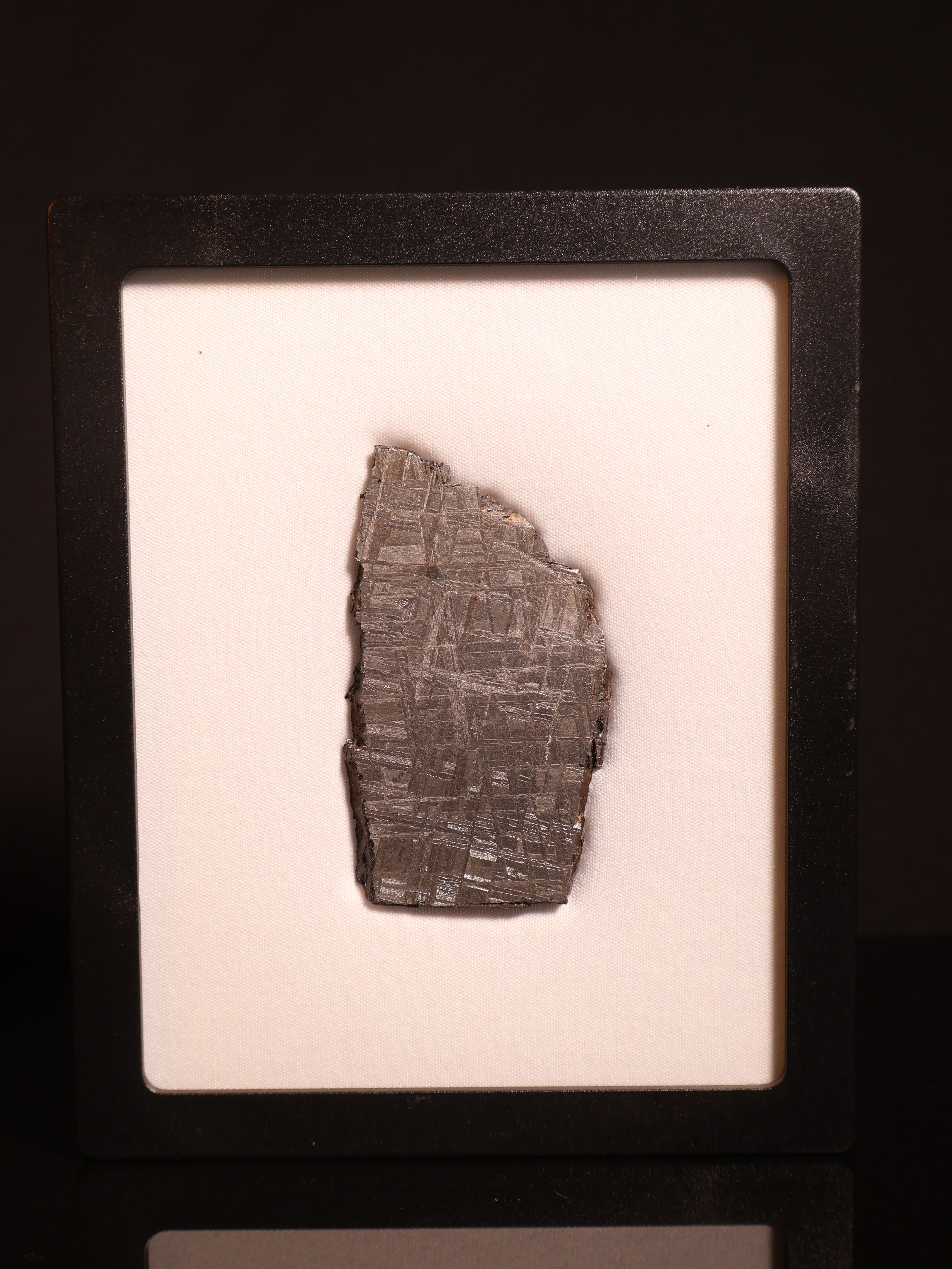 Muonionalusta Meteorite, Sweden. 56.13 grams slice.