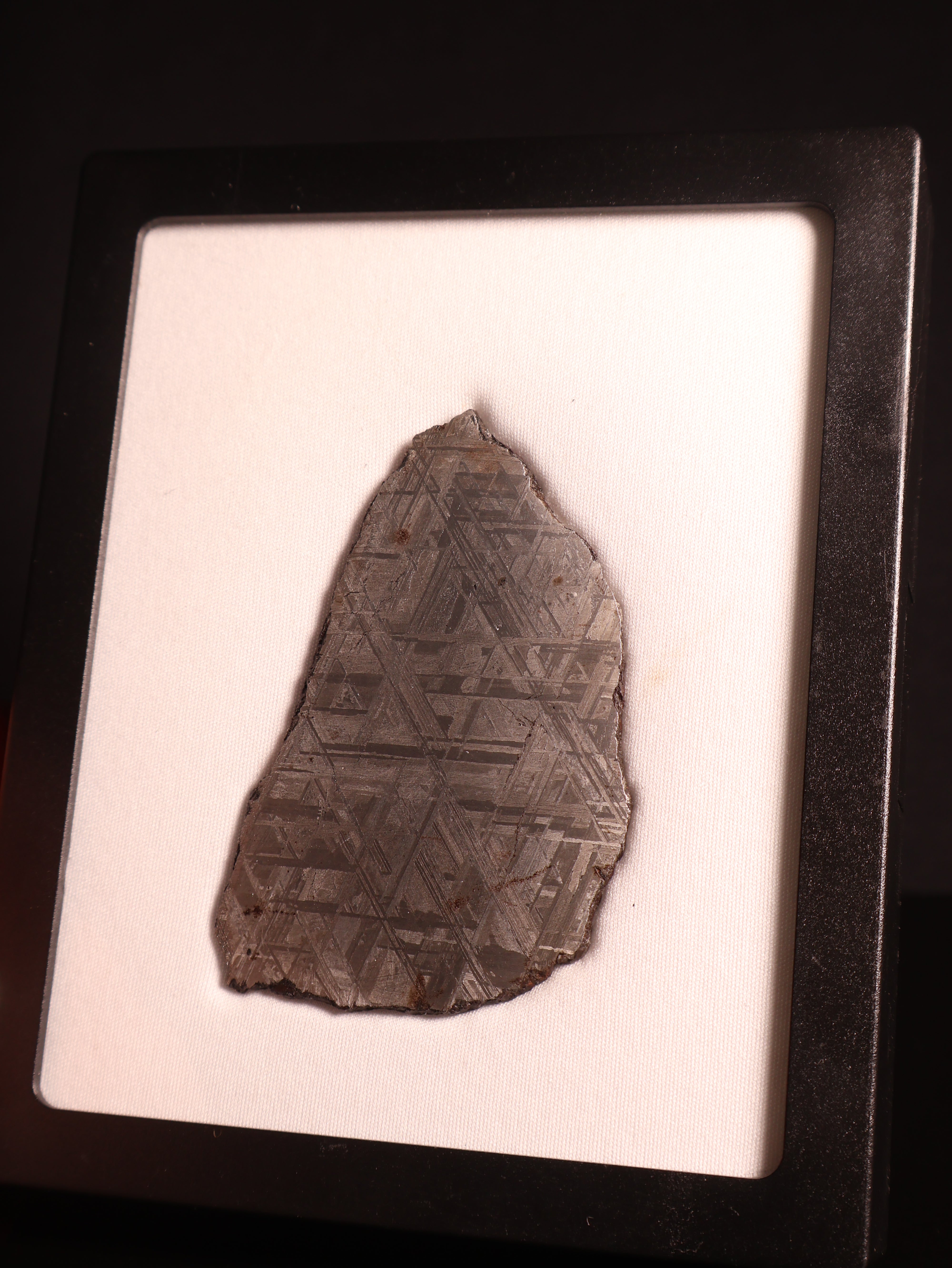 Muonionalusta Meteorite, Sweden. 77,2 grams.