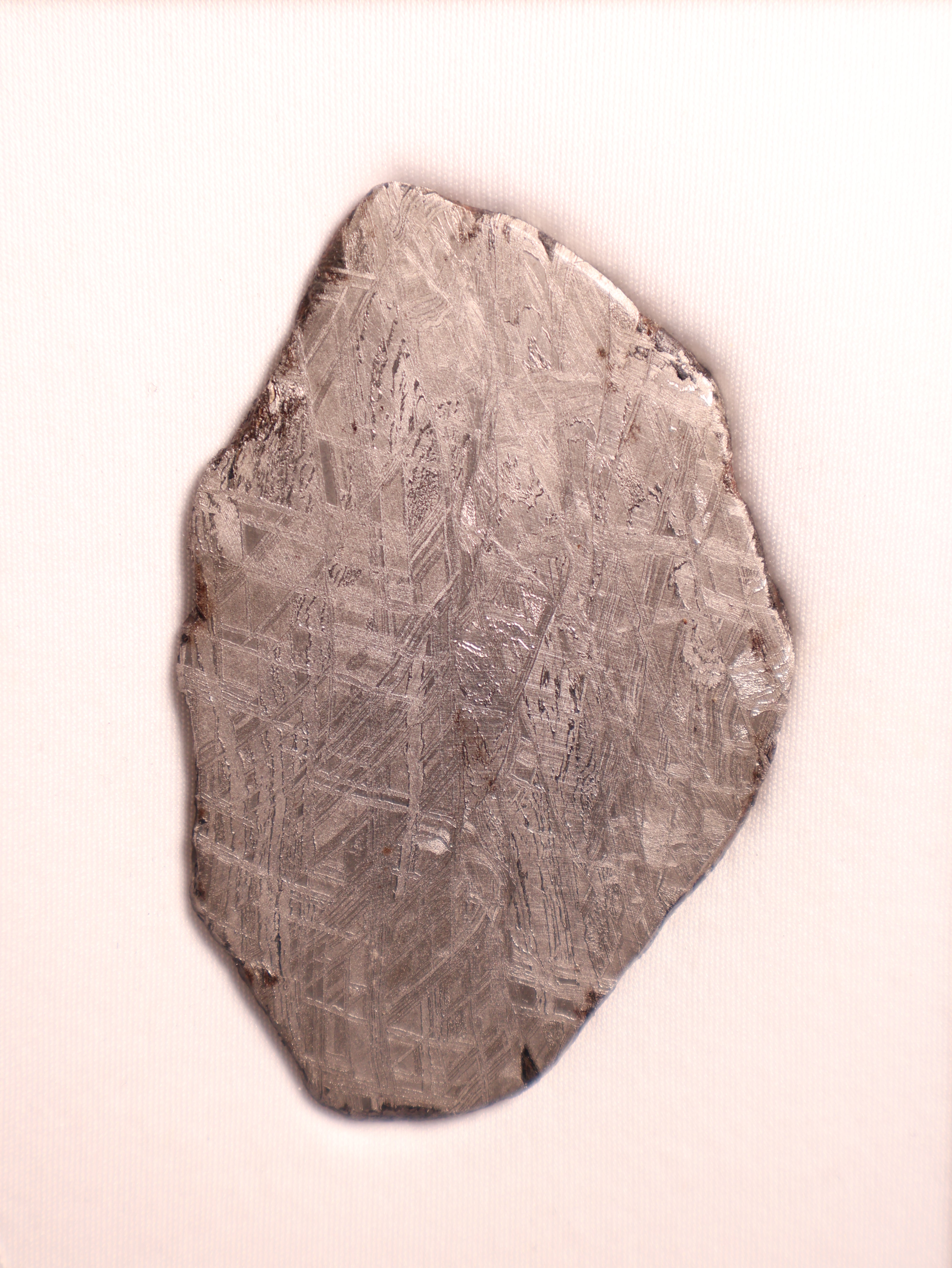 Muonionalusta Meteorite, Sweden. Slice 76.84 grams