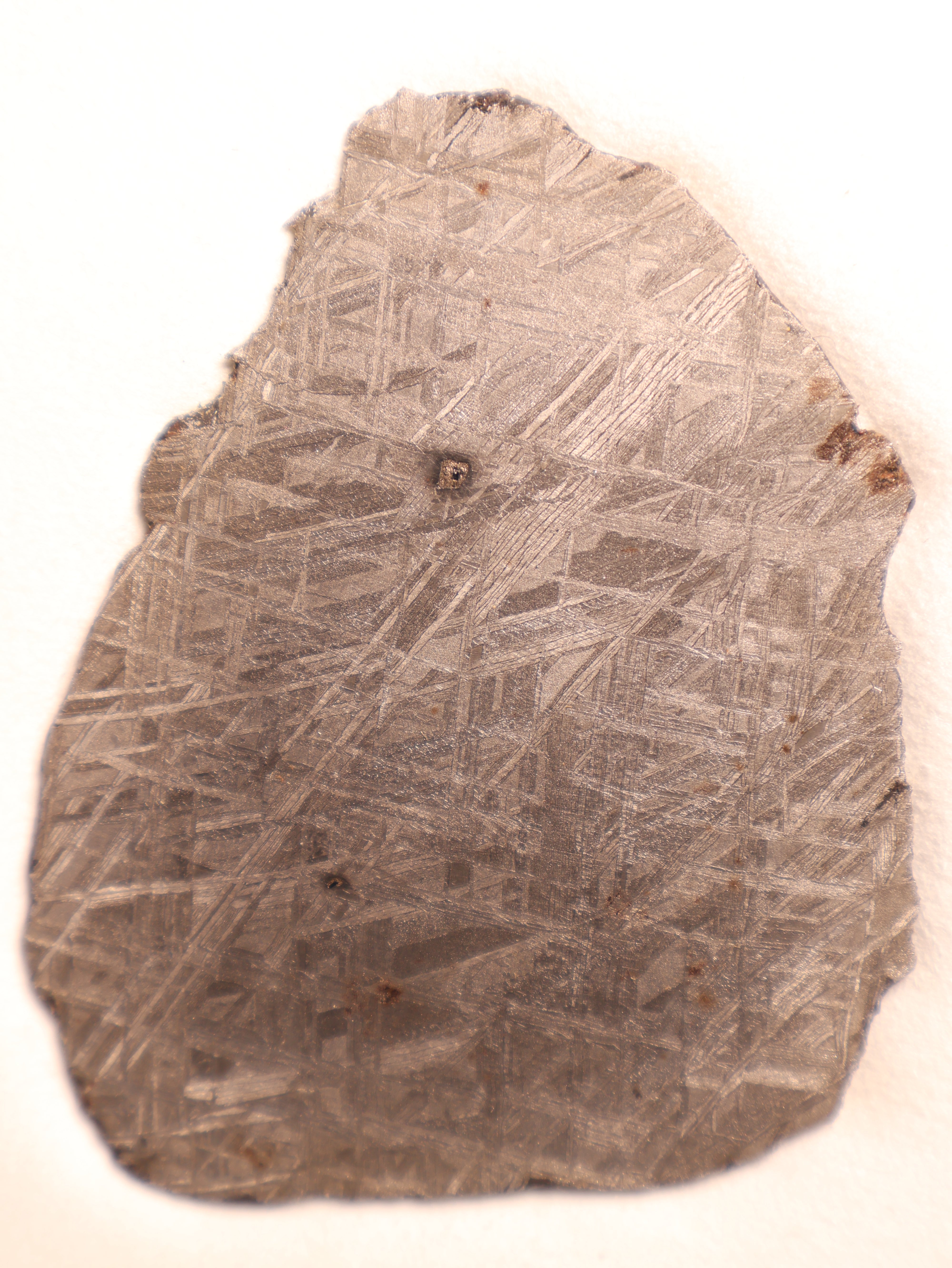 Muonionalusta meteorite, Sweden. 96,46 grams.