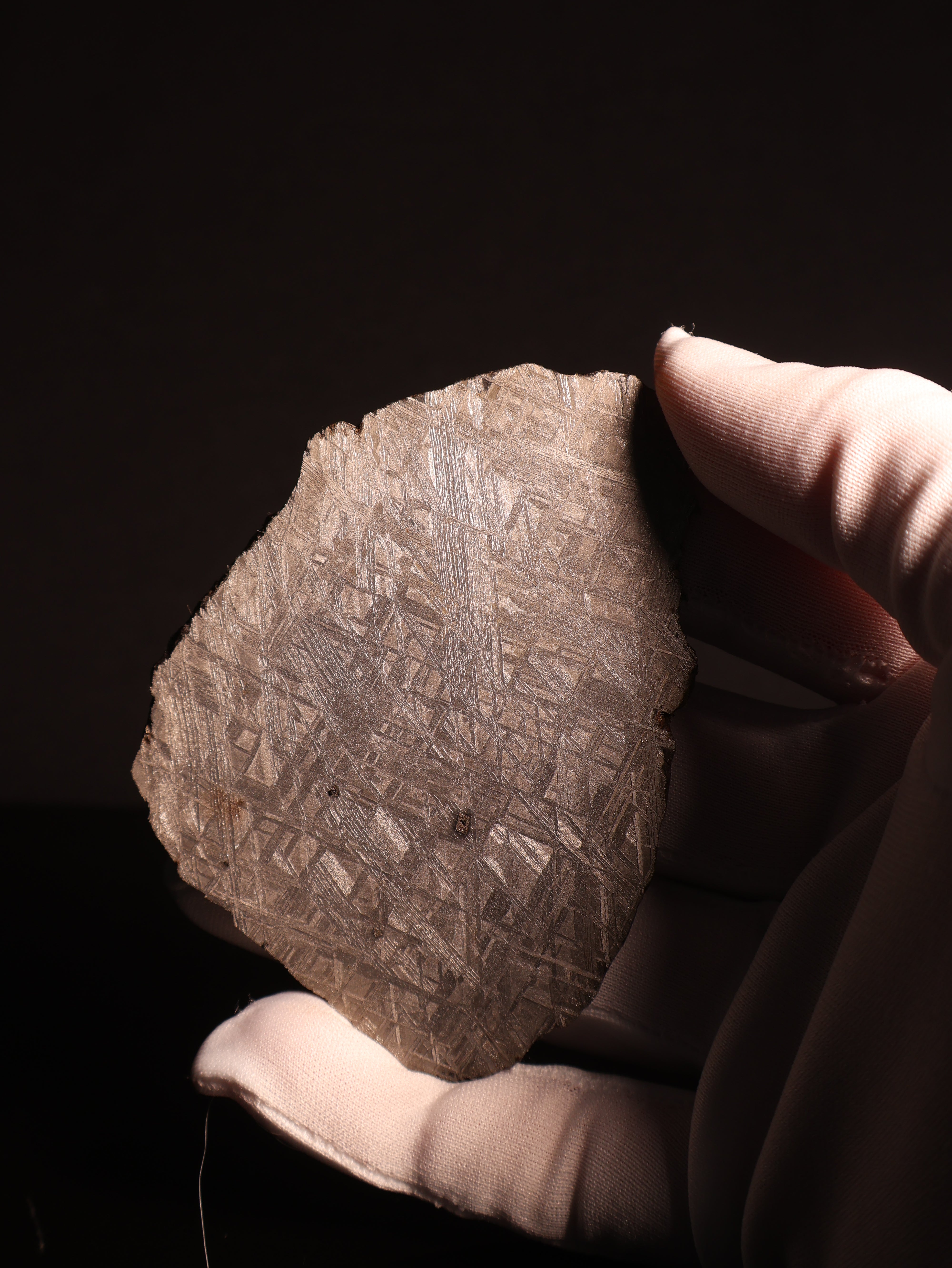 Muonionalusta meteorite, Sweden. 96,46 grams.
