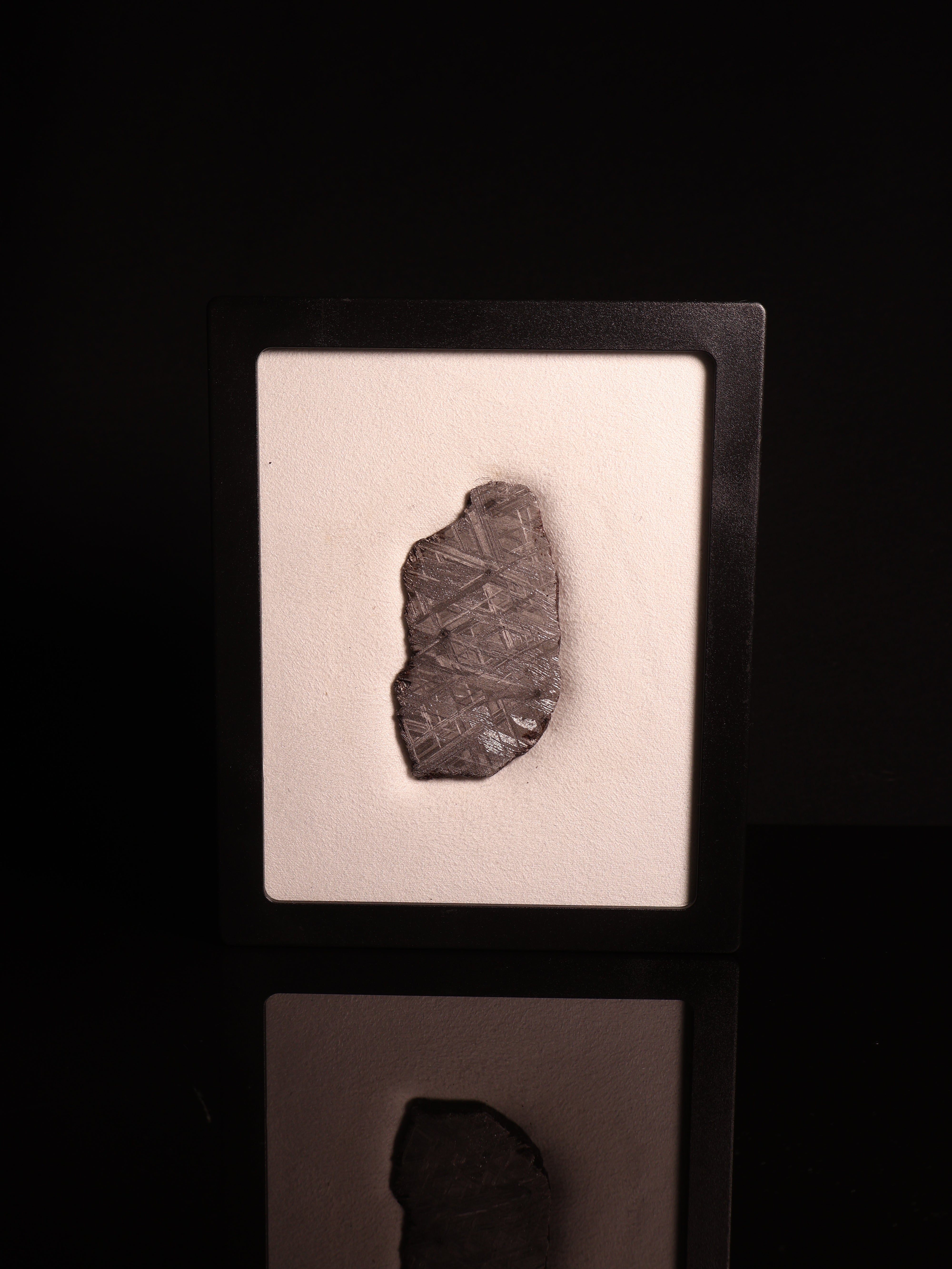 Muonionalusta meteorite, Sweden. 47,79 grams.