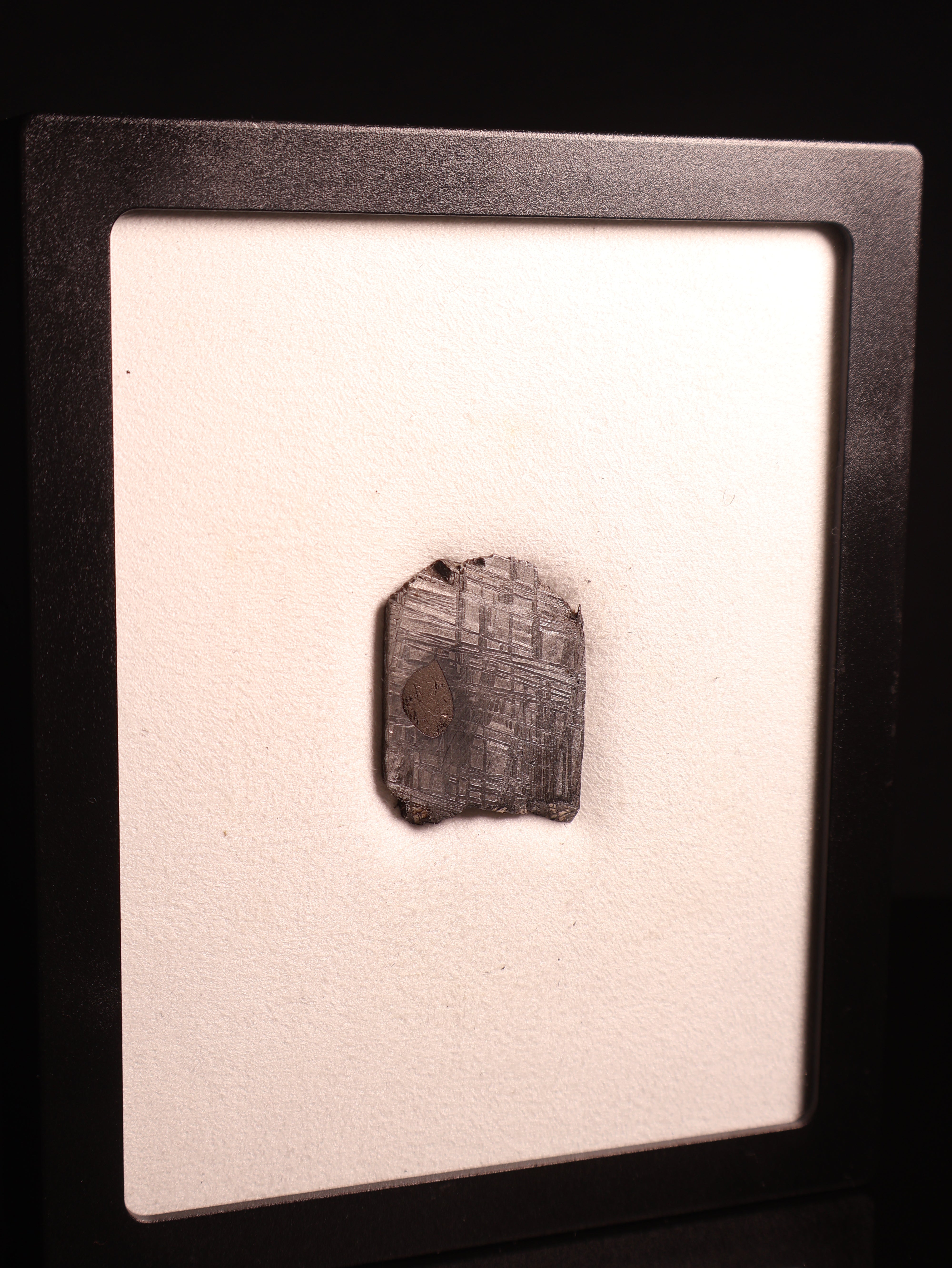 MUONIONALUSTA METEORITE, SWEDEN. 19.7 GRAMS.
