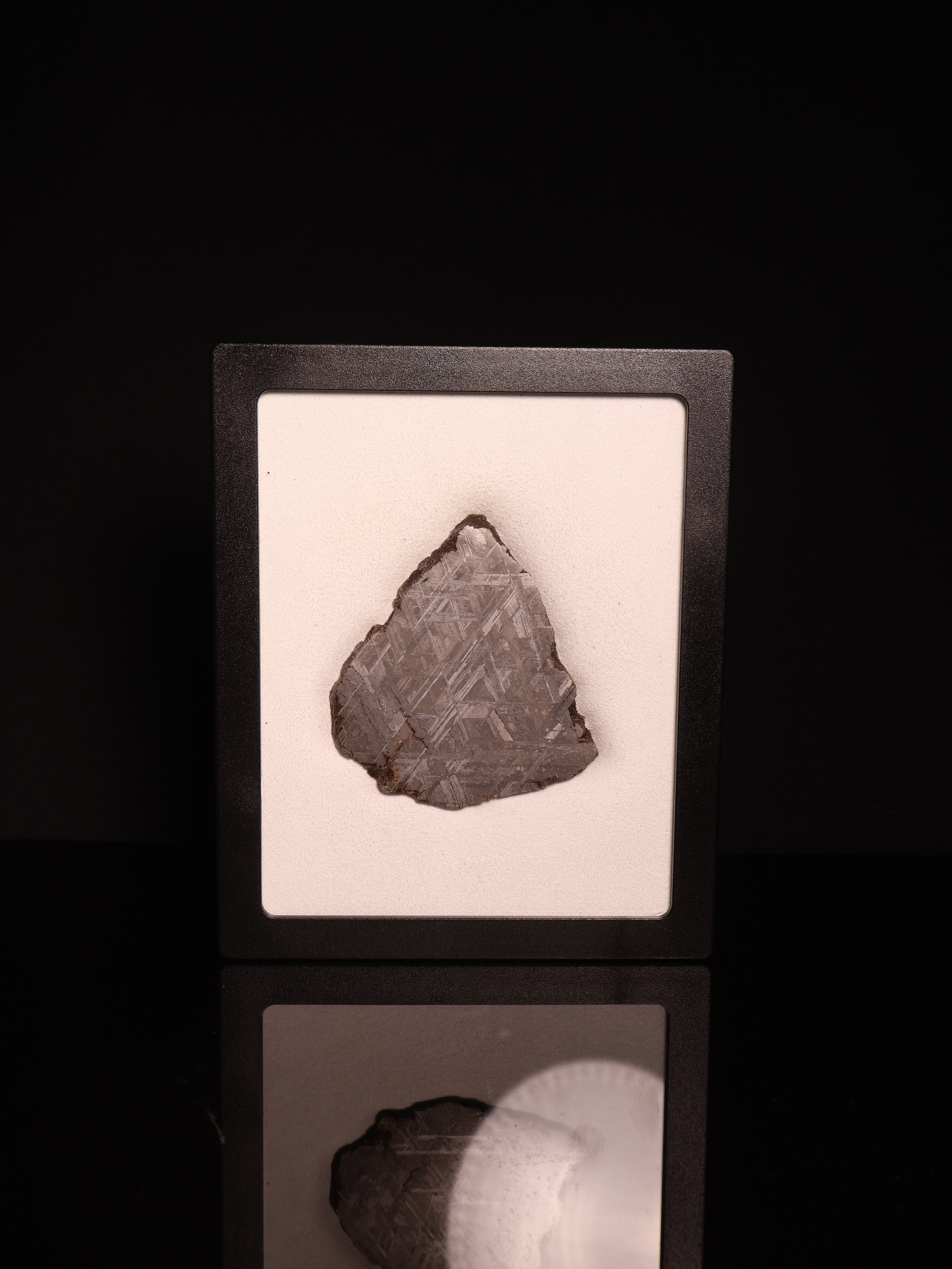 MUONIONALUSTA METEORITE, SWEDEN. 81 GRAMS.