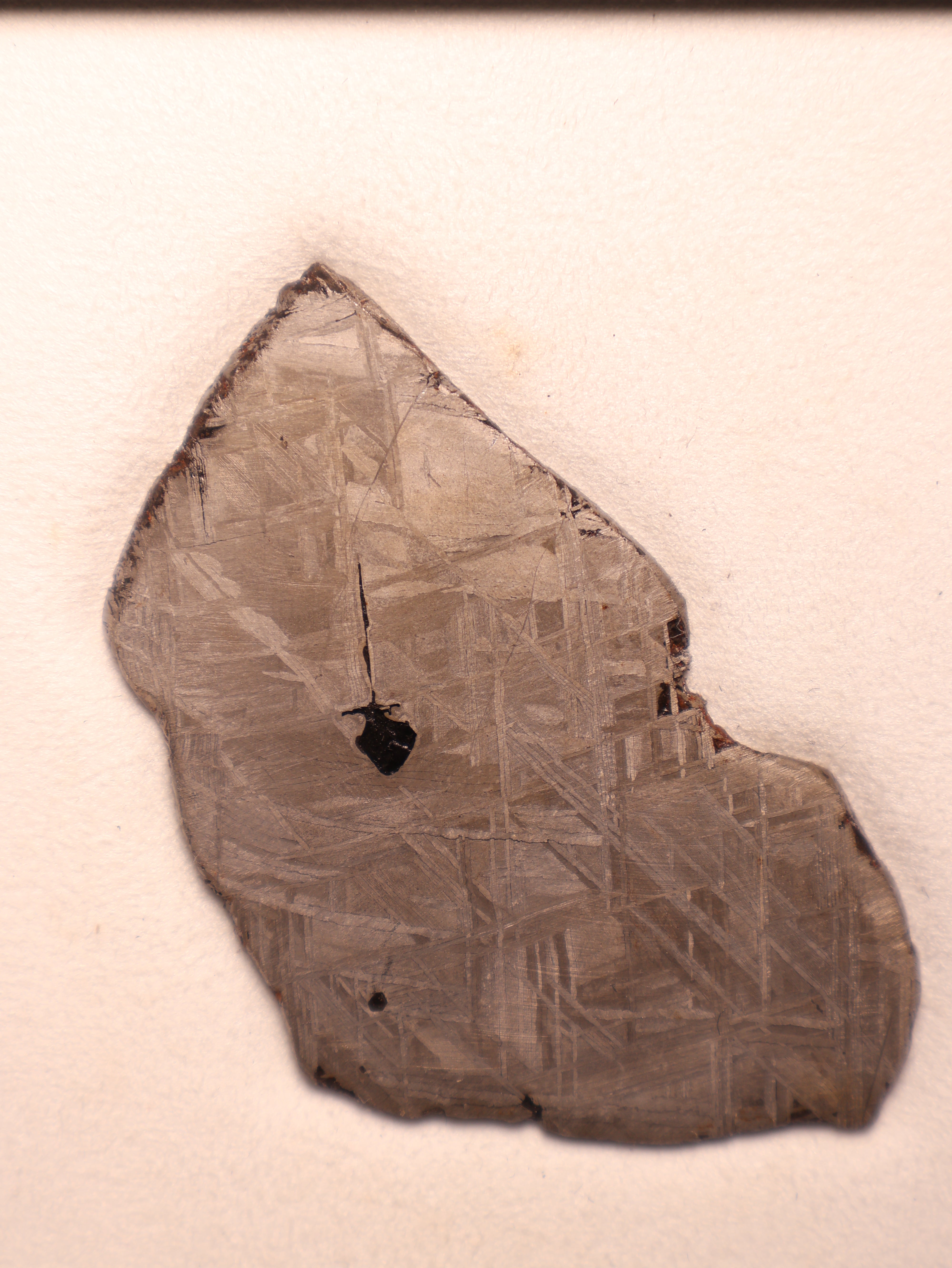MUONIONALUSTA METEORITE, SWEDEN. 65 GRAMS.