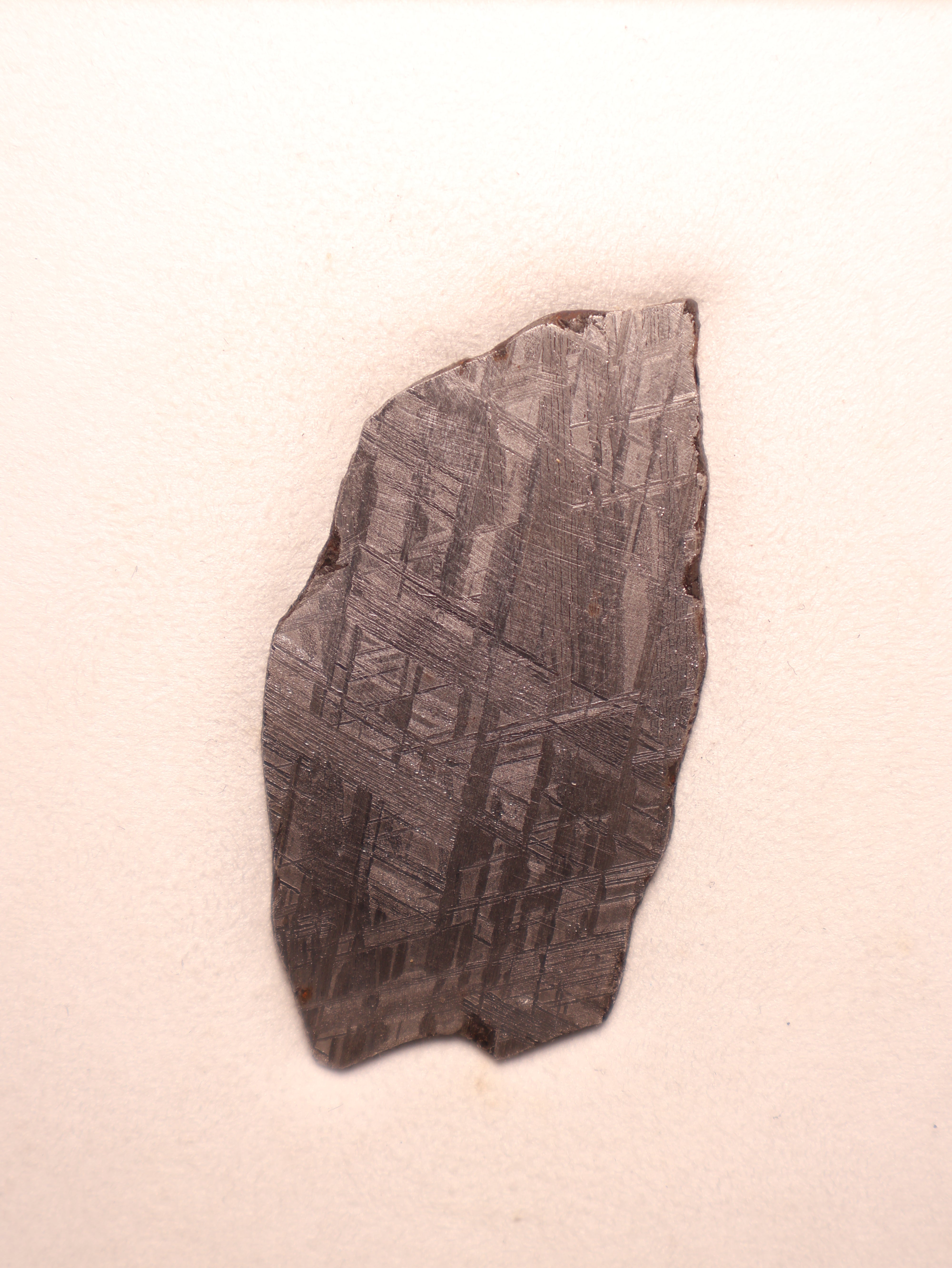 MUONIONALUSTA METEORITE, SWEDEN. 49.3 GRAMS.