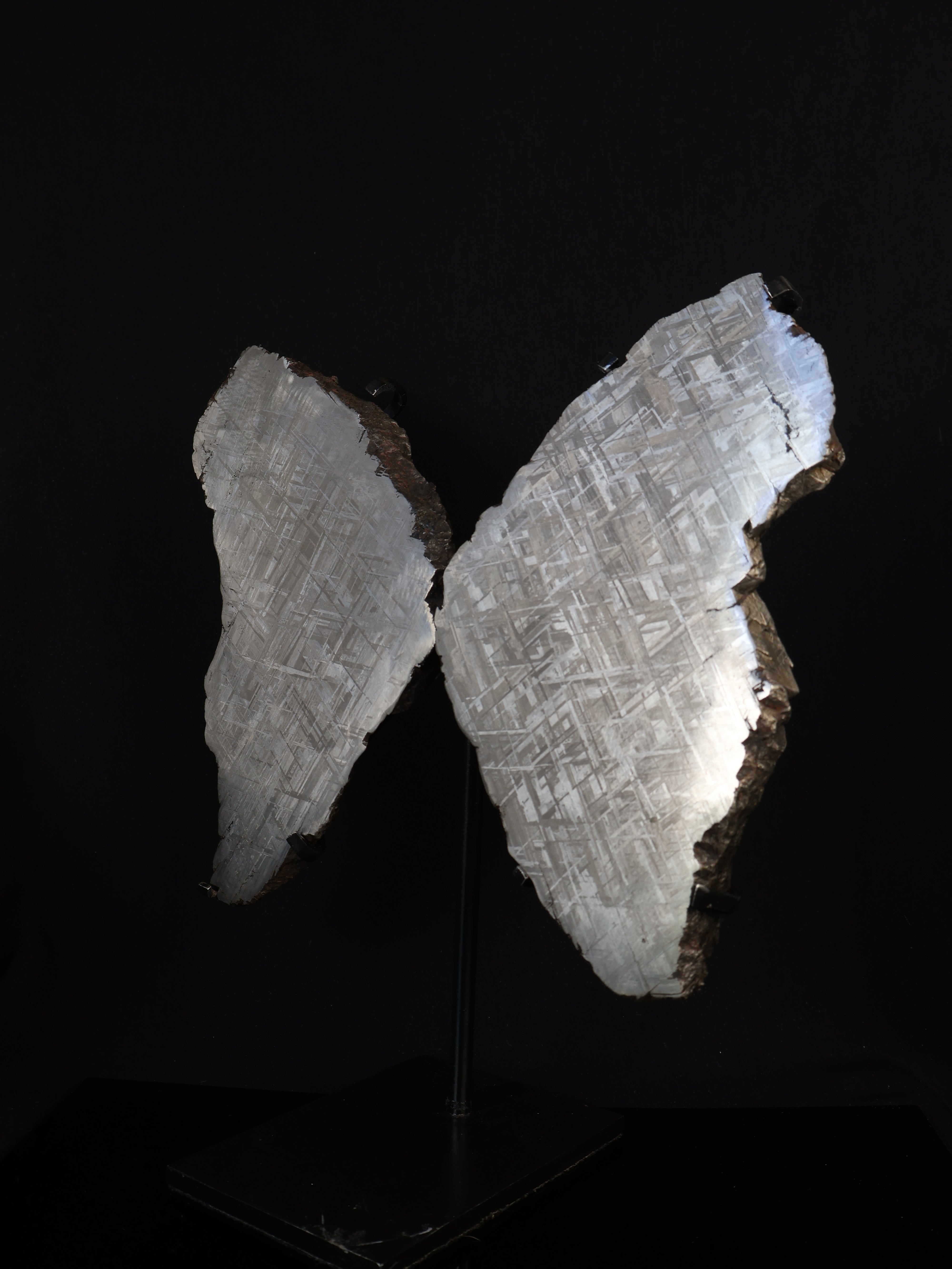 "COSMIC BUTTERFLY" MUONIONALUSTA, SWEDEN. FULL METEORITE IN TWO HALVES.