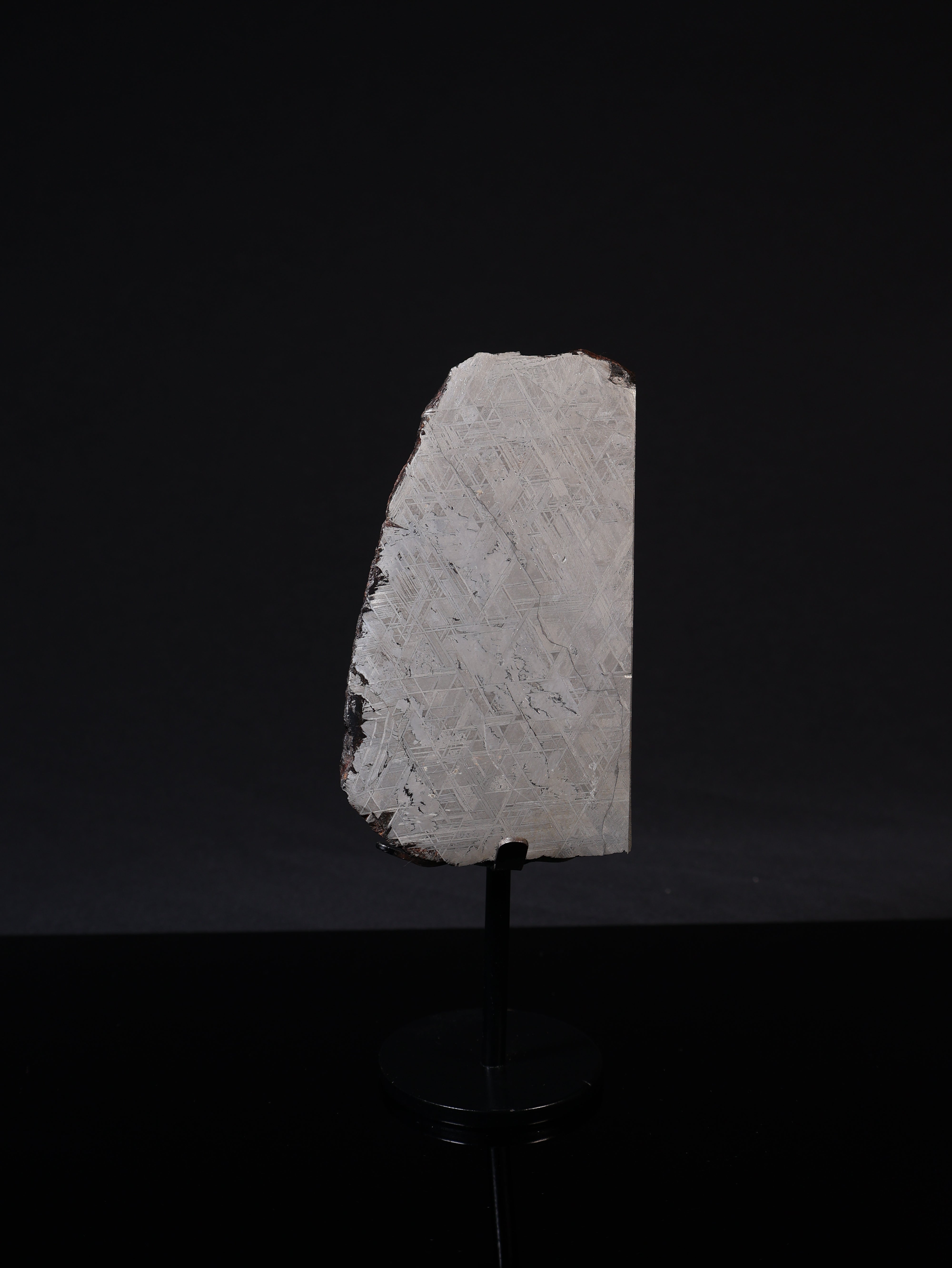 MUONIONALUSTA METEORITE, SWEDEN. 887 GRAMS END-CUT.