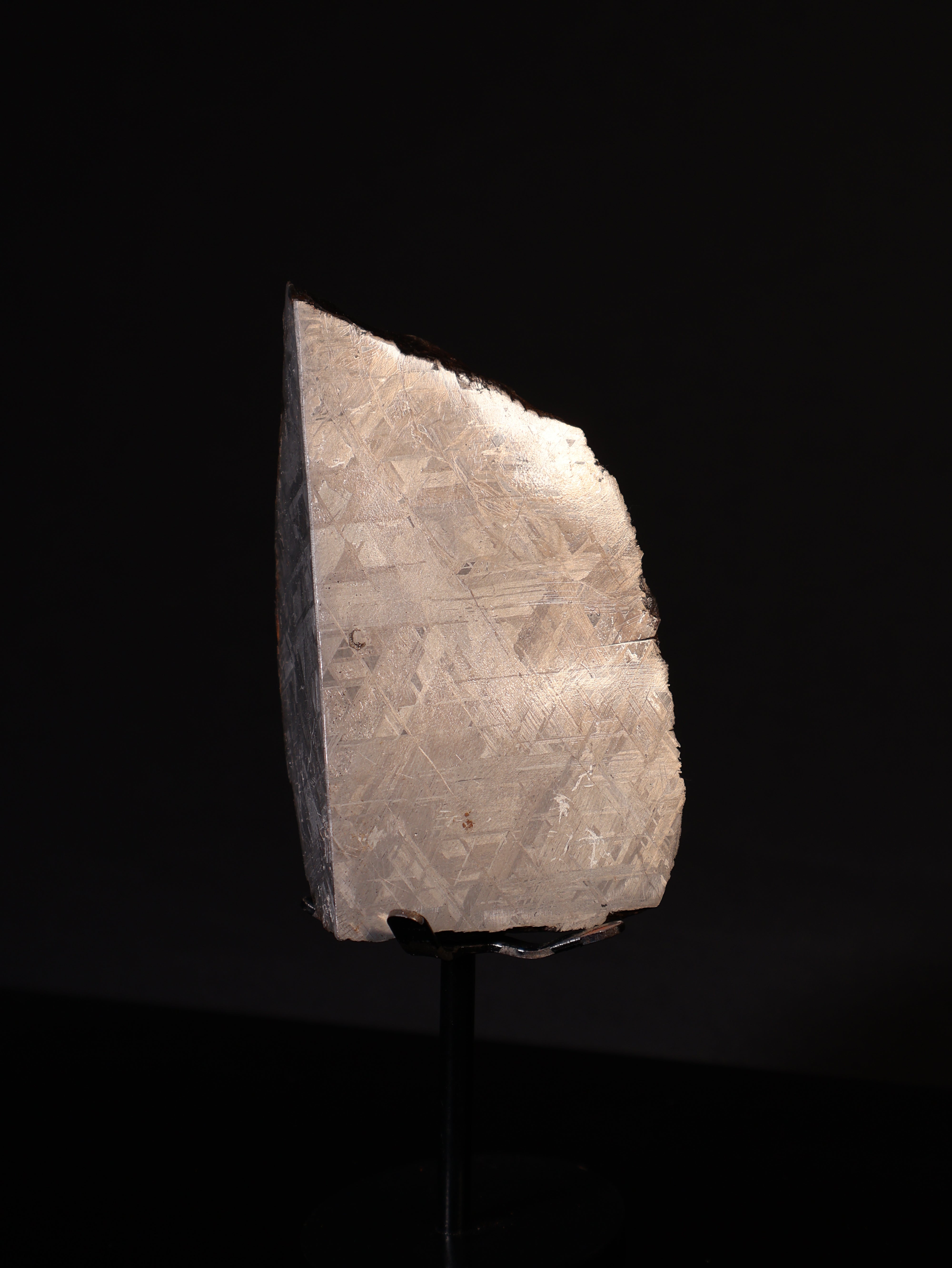 MUONIONALUSTA METEORITE, SWEDEN. 628 GRAMS END-CUT.