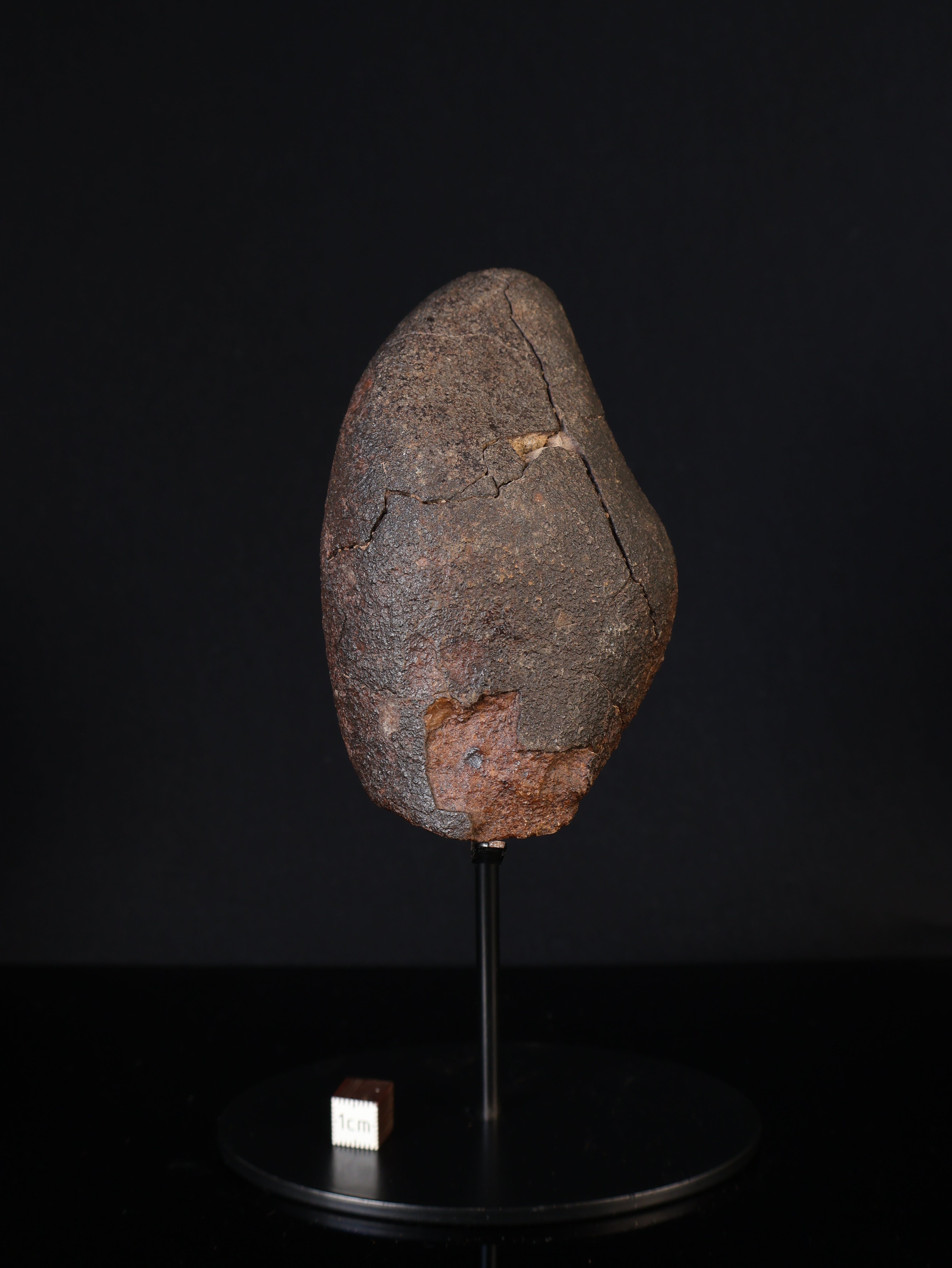 CHONDRITE METEORITE, NORTH WEST AFRICA. 421 GRAMS.