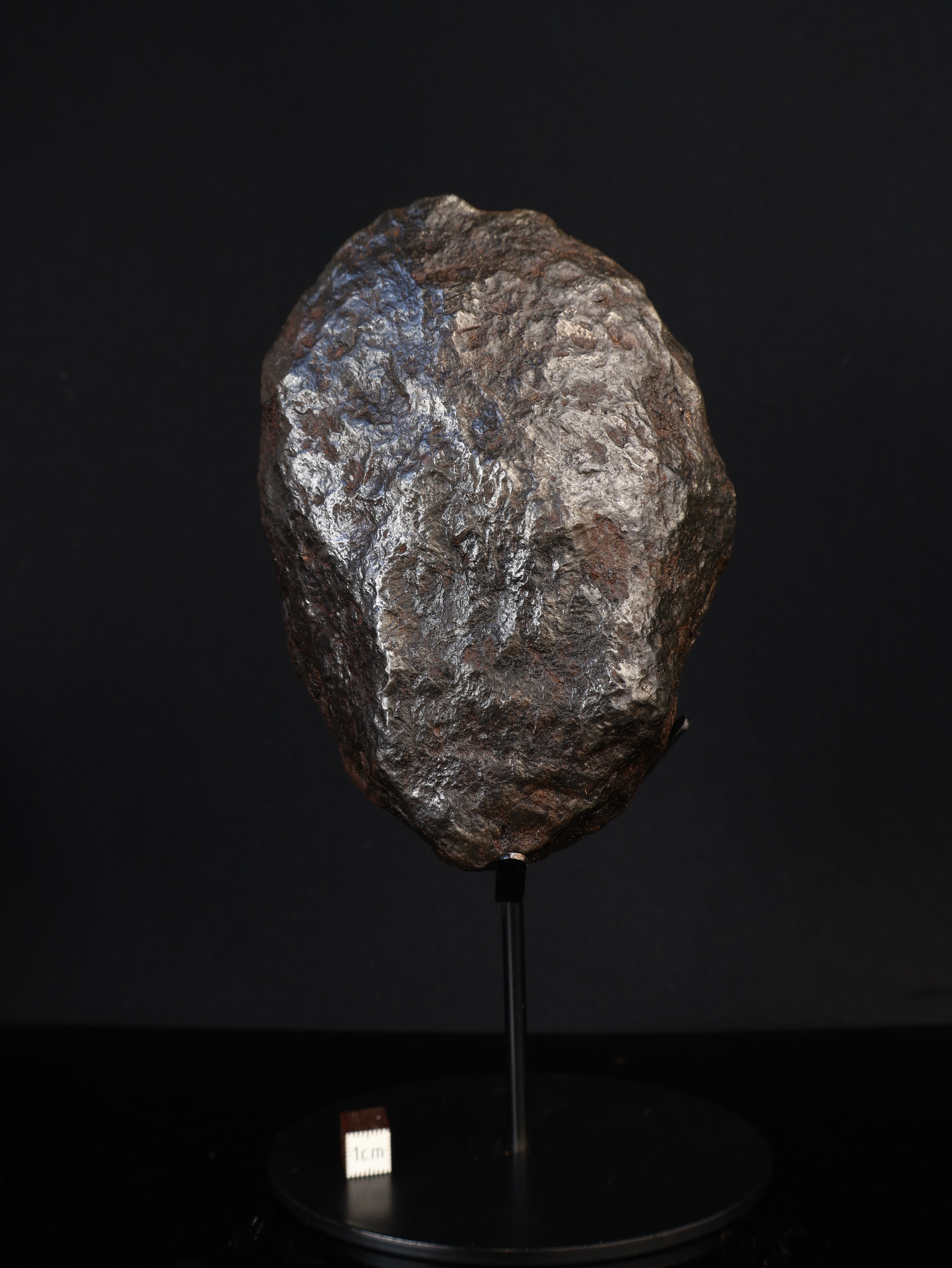 MUONIONALUSTA METEORITE, SWEDEN. FULL METEORITE 1711 grams.