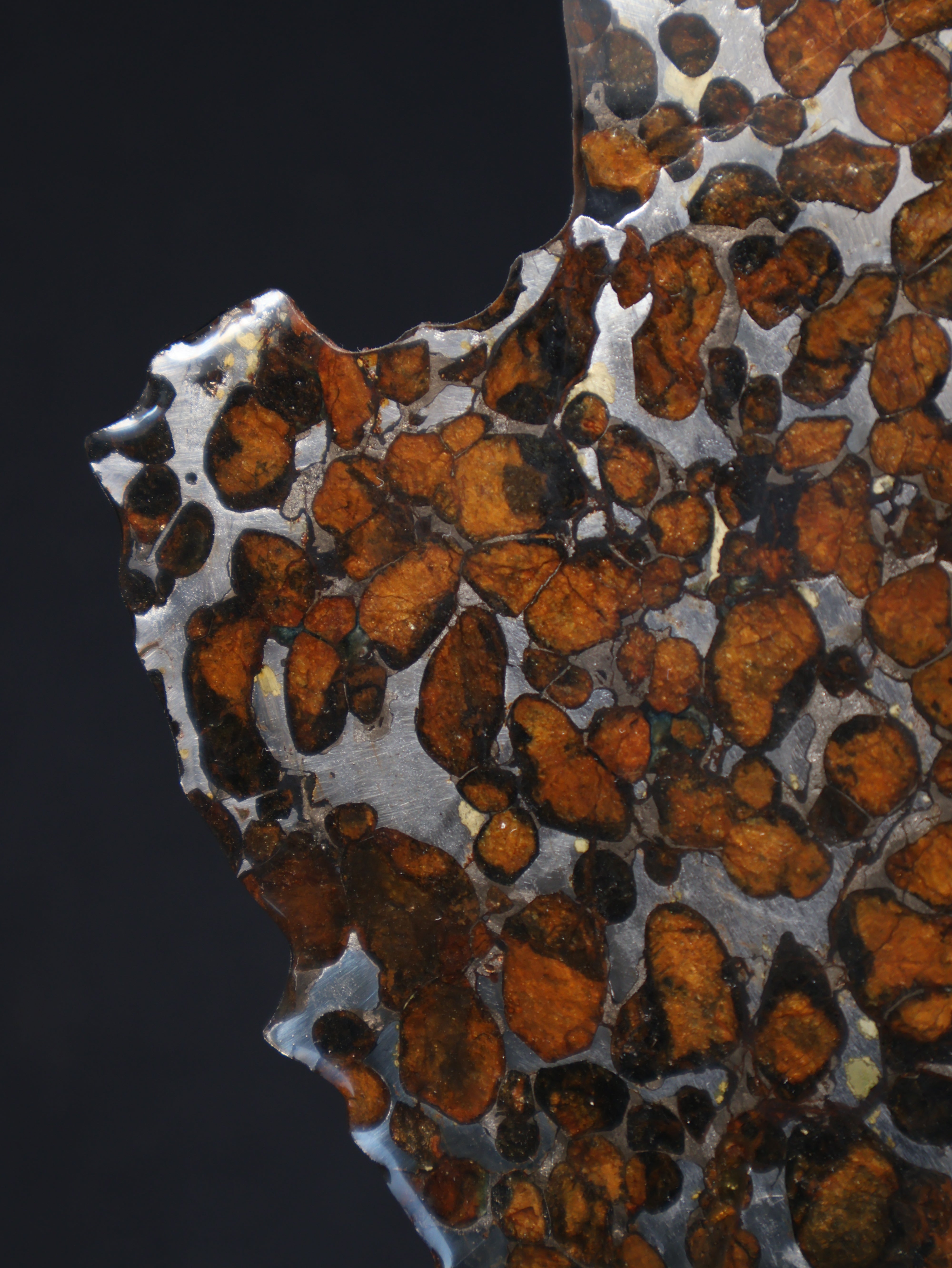 SERICHO METEORITE, KENYA. 55,5 GRAMS SLICE