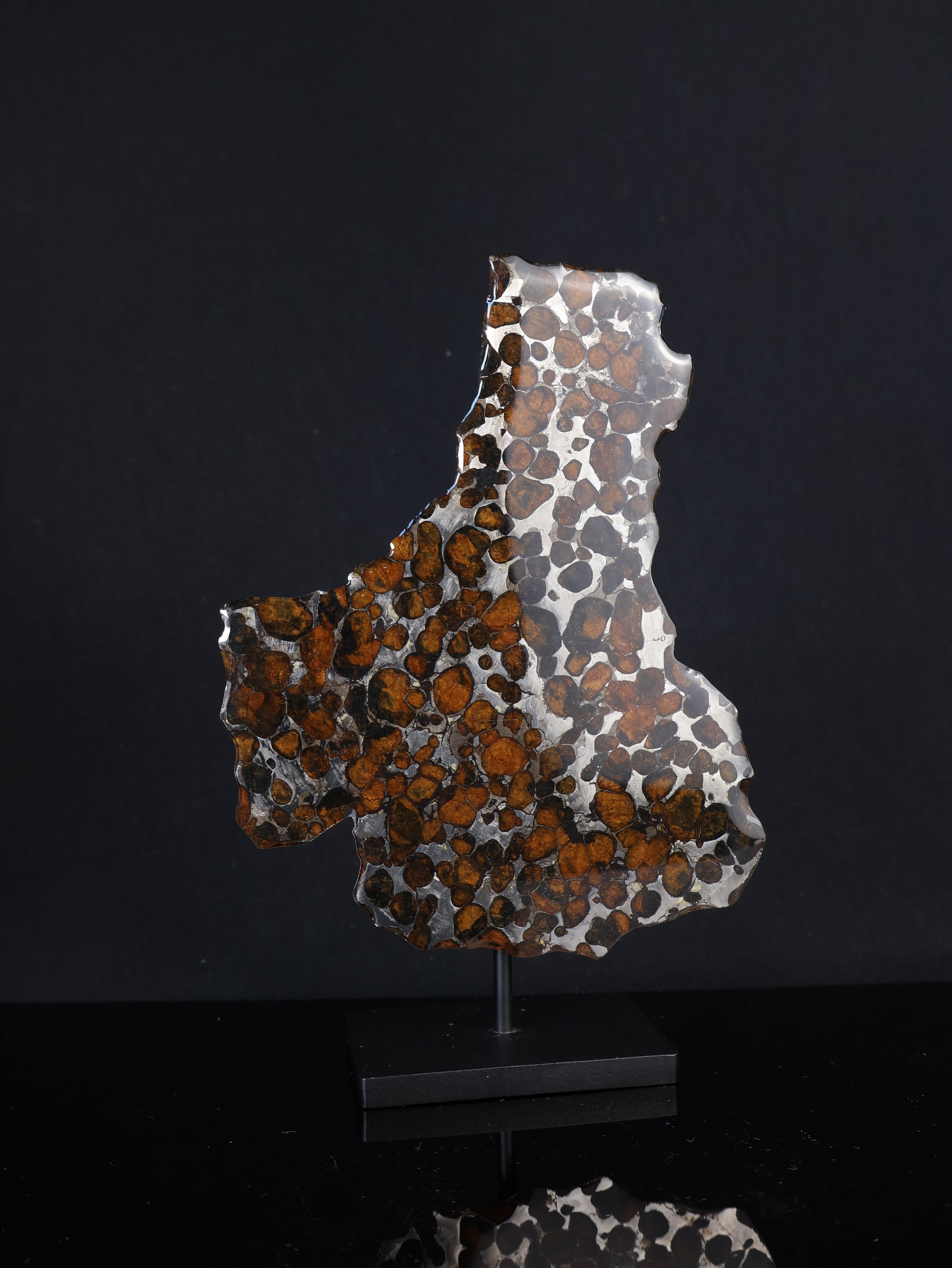 SERICHO METEORITE, KENYA. 45,6 GRAMS SLICE
