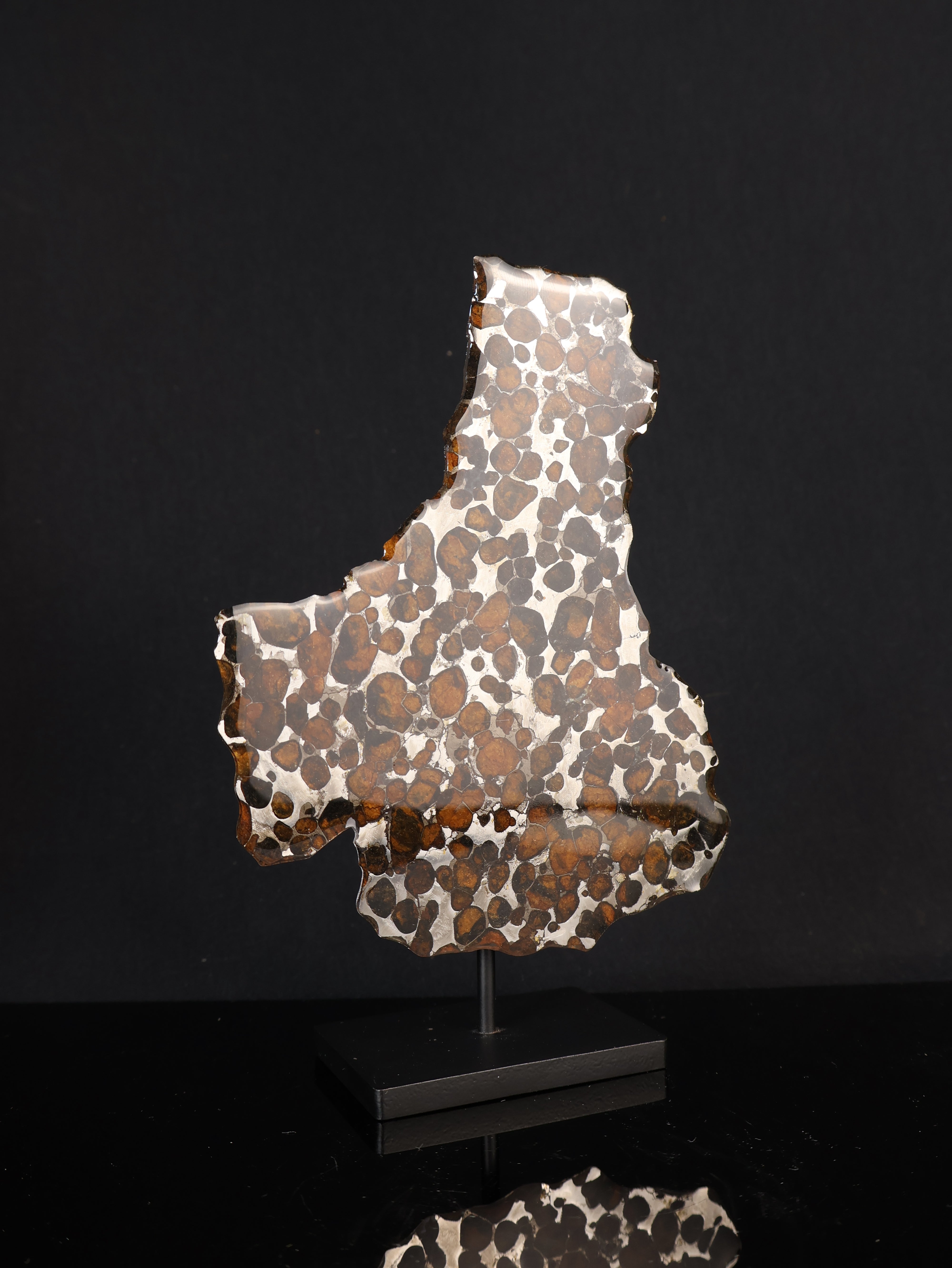 SERICHO METEORITE, KENYA. 45,6 GRAMS SLICE