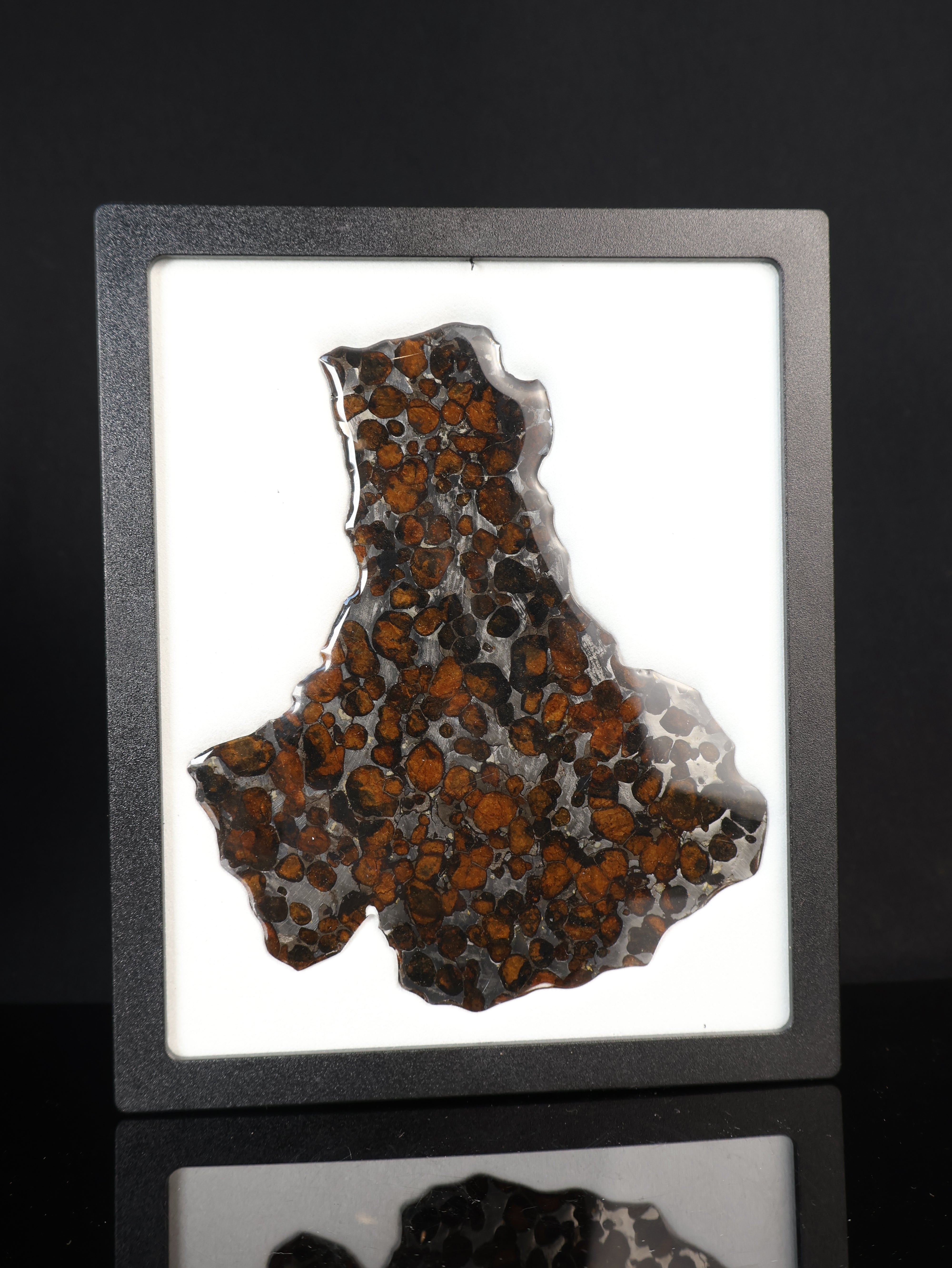SERICHO METEORITE, KENYA. 45,6 GRAMS SLICE