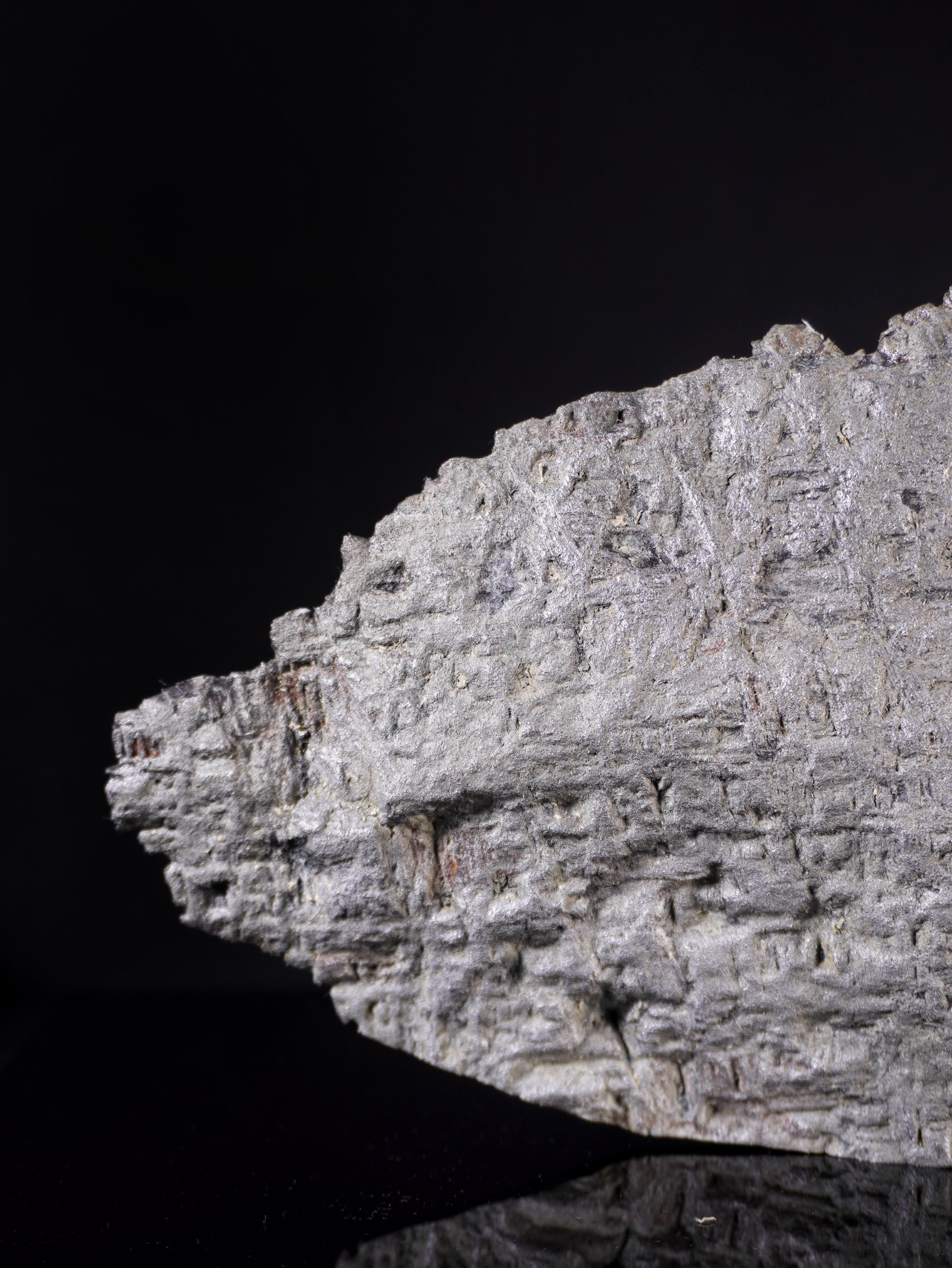 MUONIONALUSTA METEORITE, SWEDEN. 1854 GRAMS