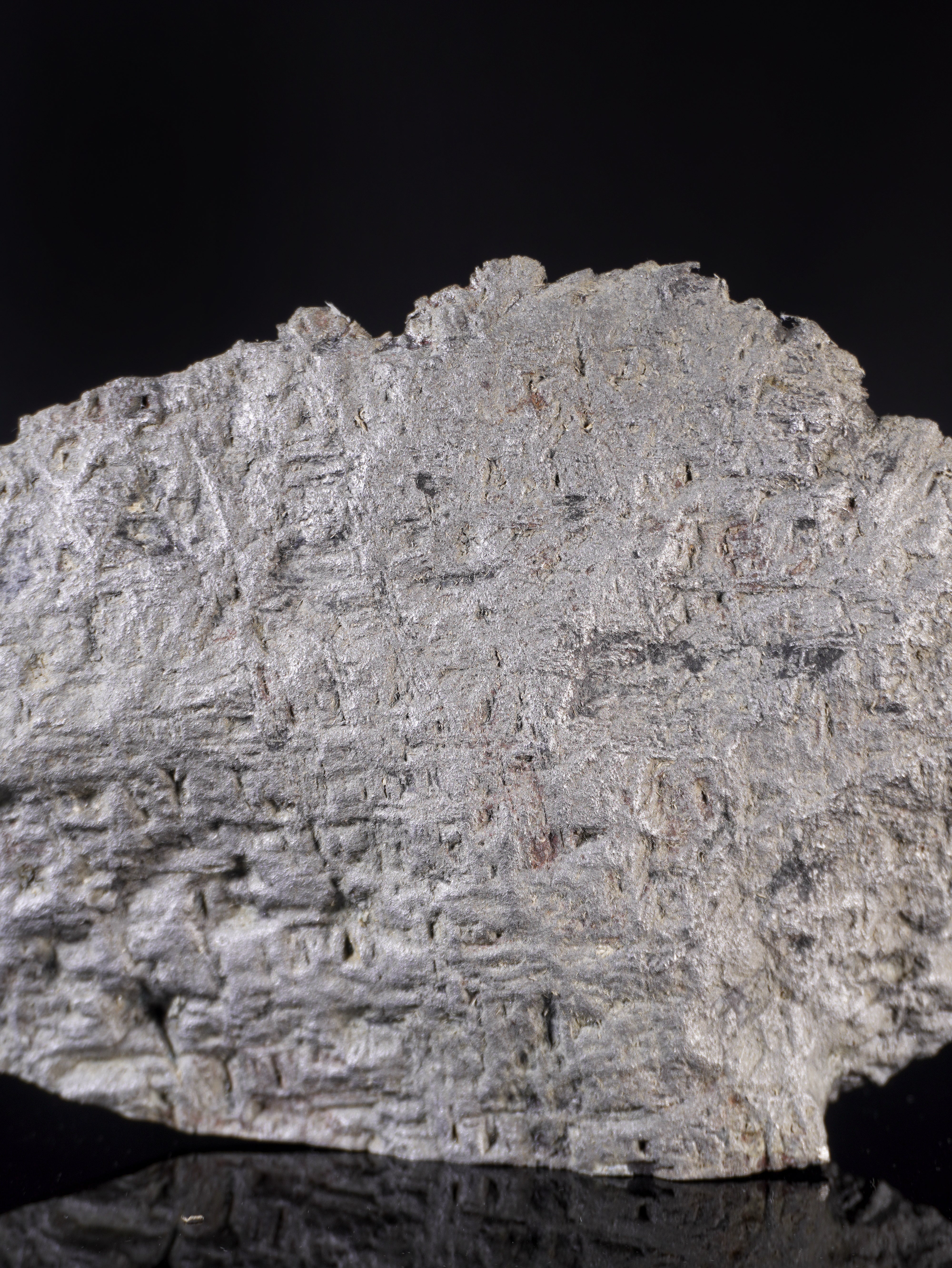 MUONIONALUSTA METEORITE, SWEDEN. 1854 GRAMS