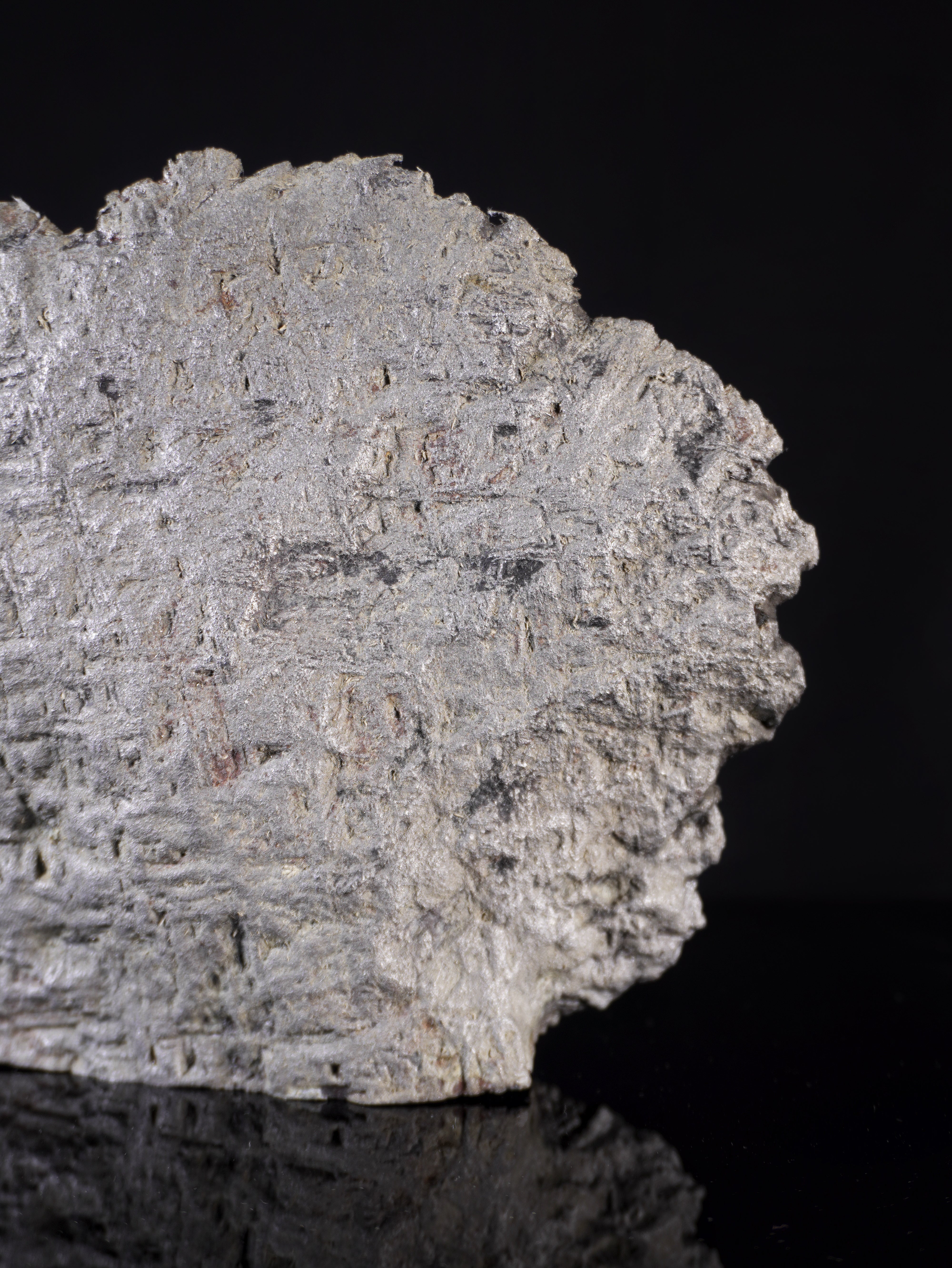 MUONIONALUSTA METEORITE, SWEDEN. 1854 GRAMS