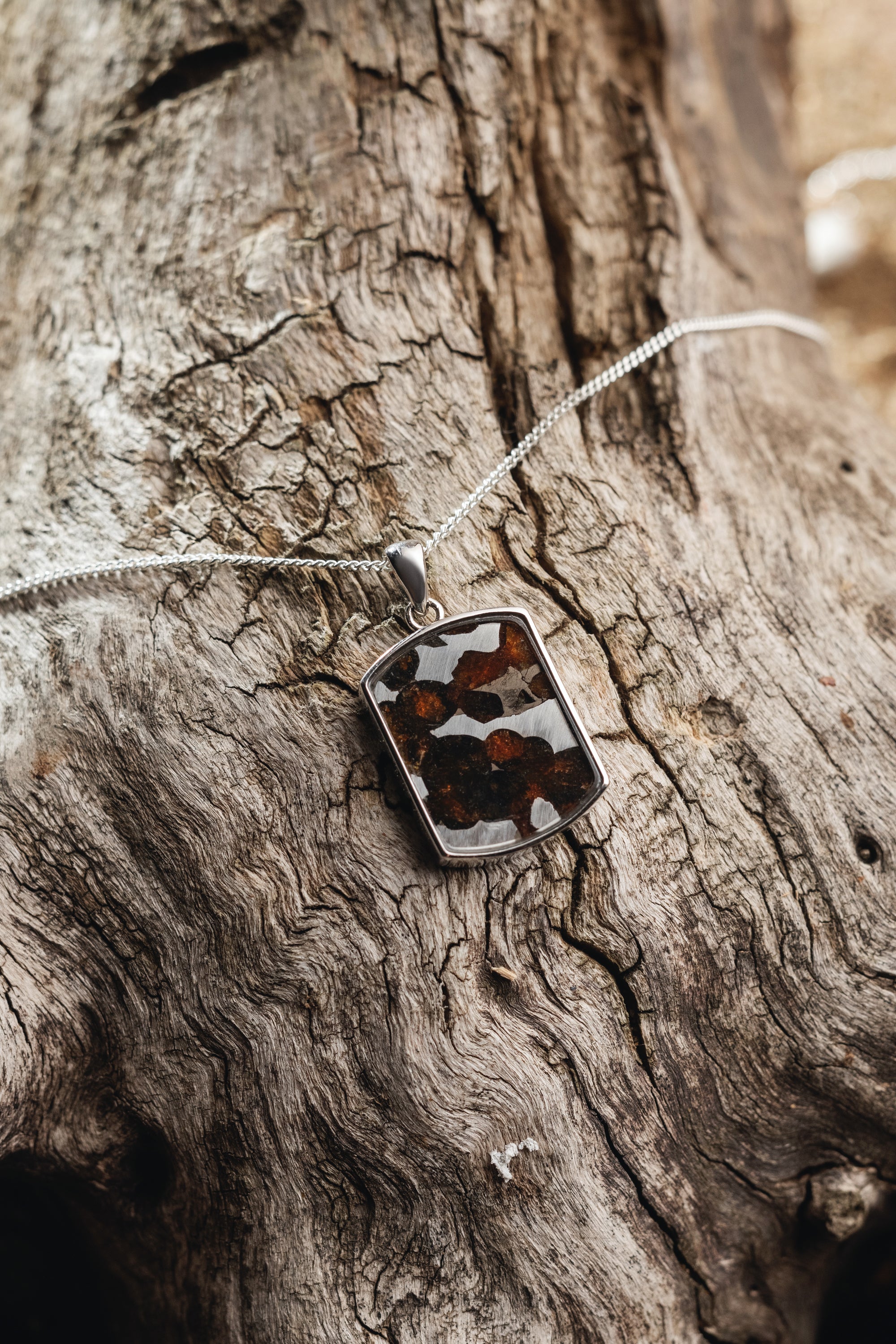 Small Dogtag pendant of Sericho Meteorite