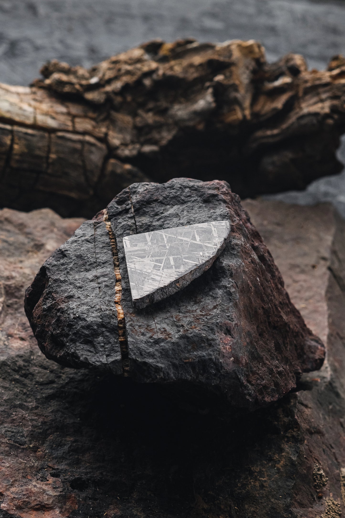 Muonionalusta meteorite slice 25.14g