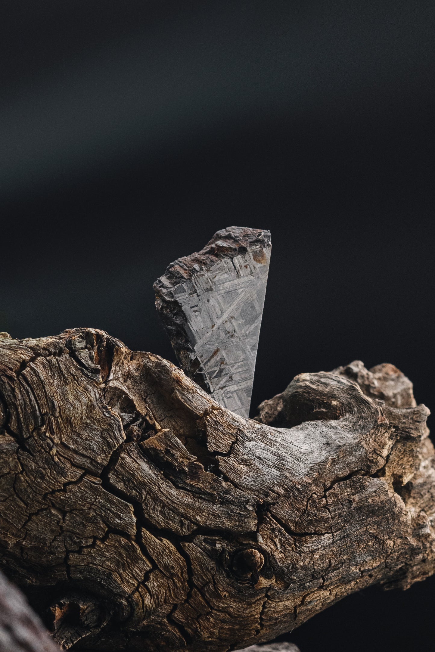 Muonionalusta meteorite slice 47.42g