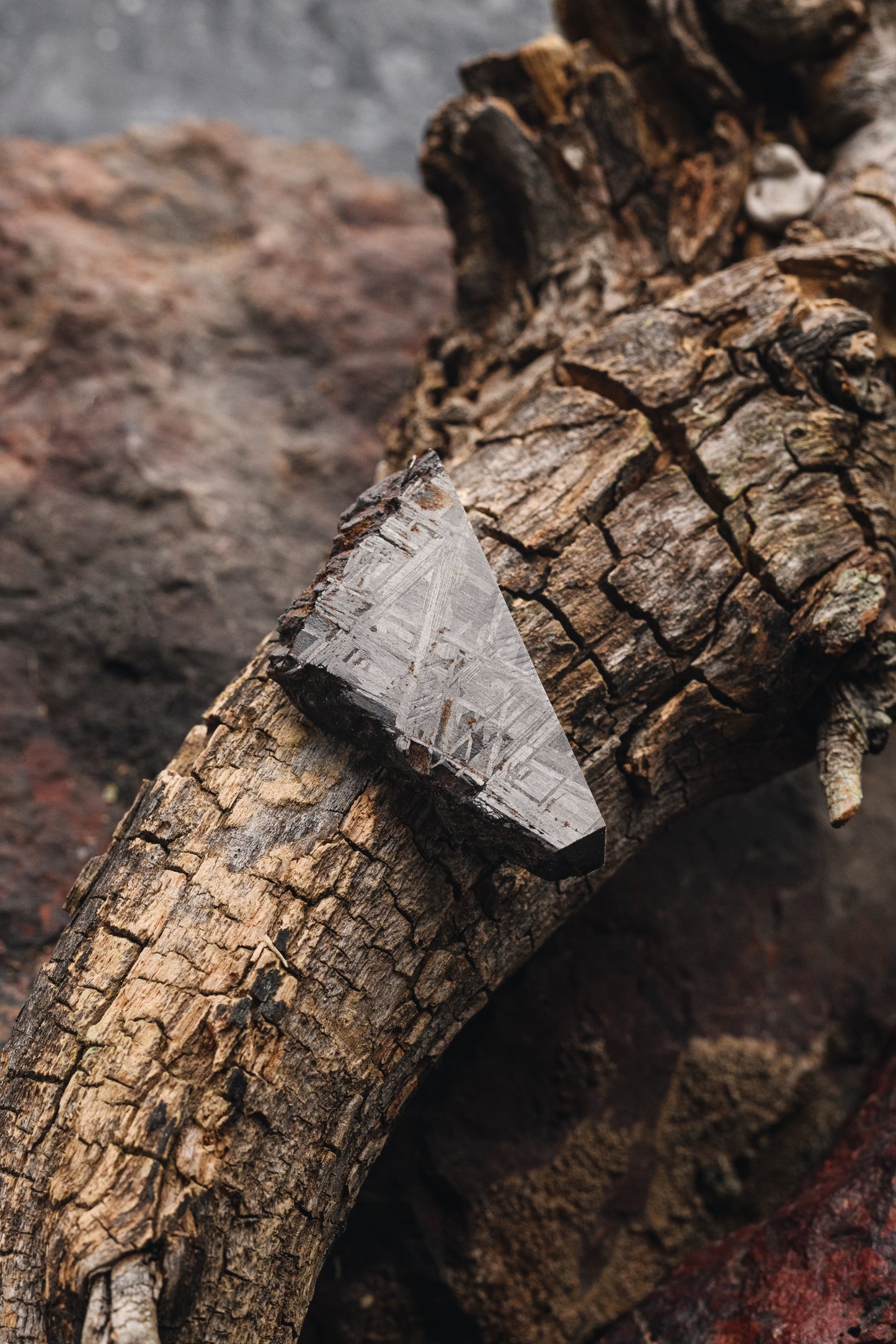 Muonionalusta meteorite slice 47.42g
