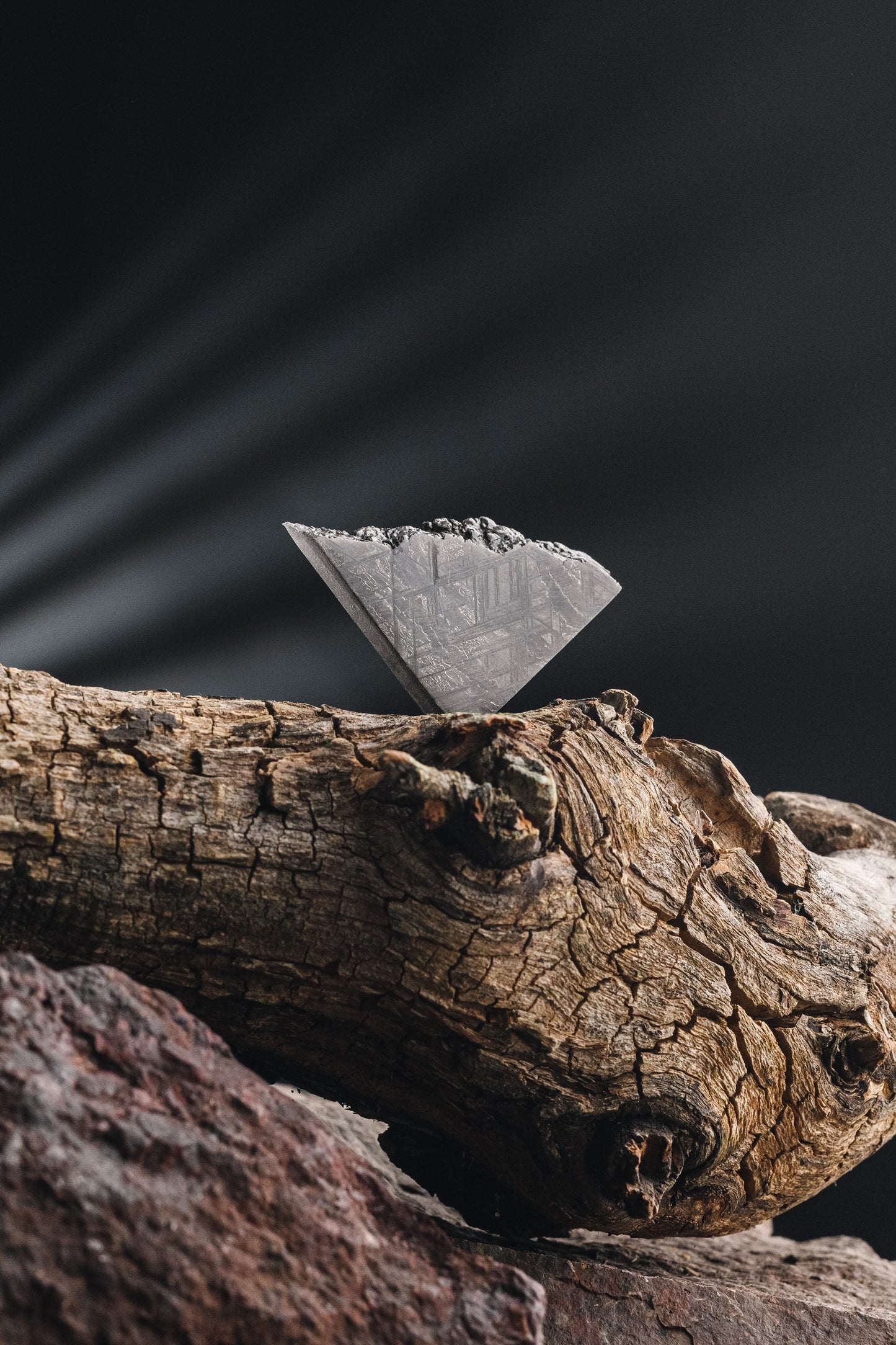 Muonionalusta meteorite slice 33.73g