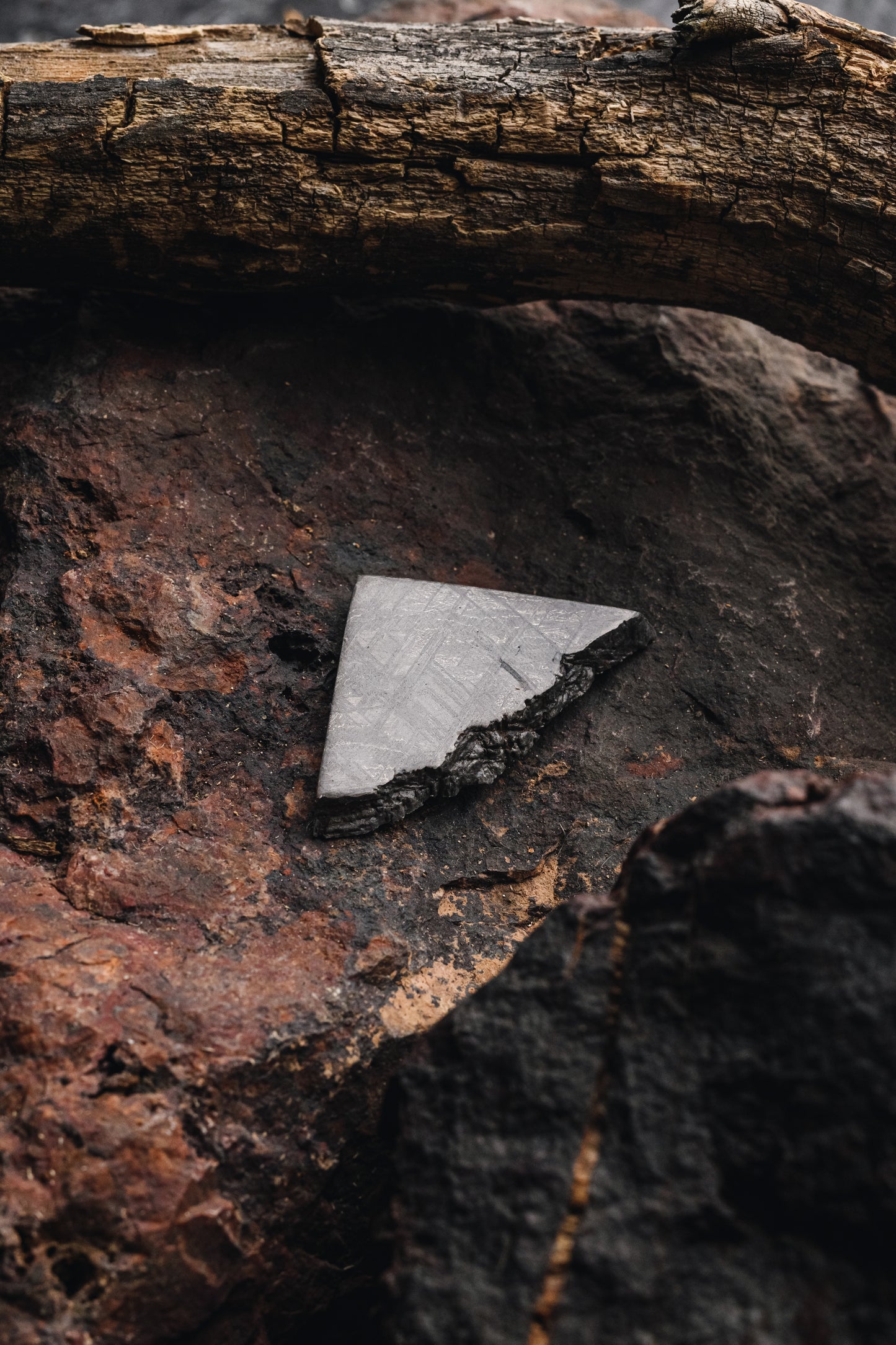 Muonionalusta meteorite slice 33.73g