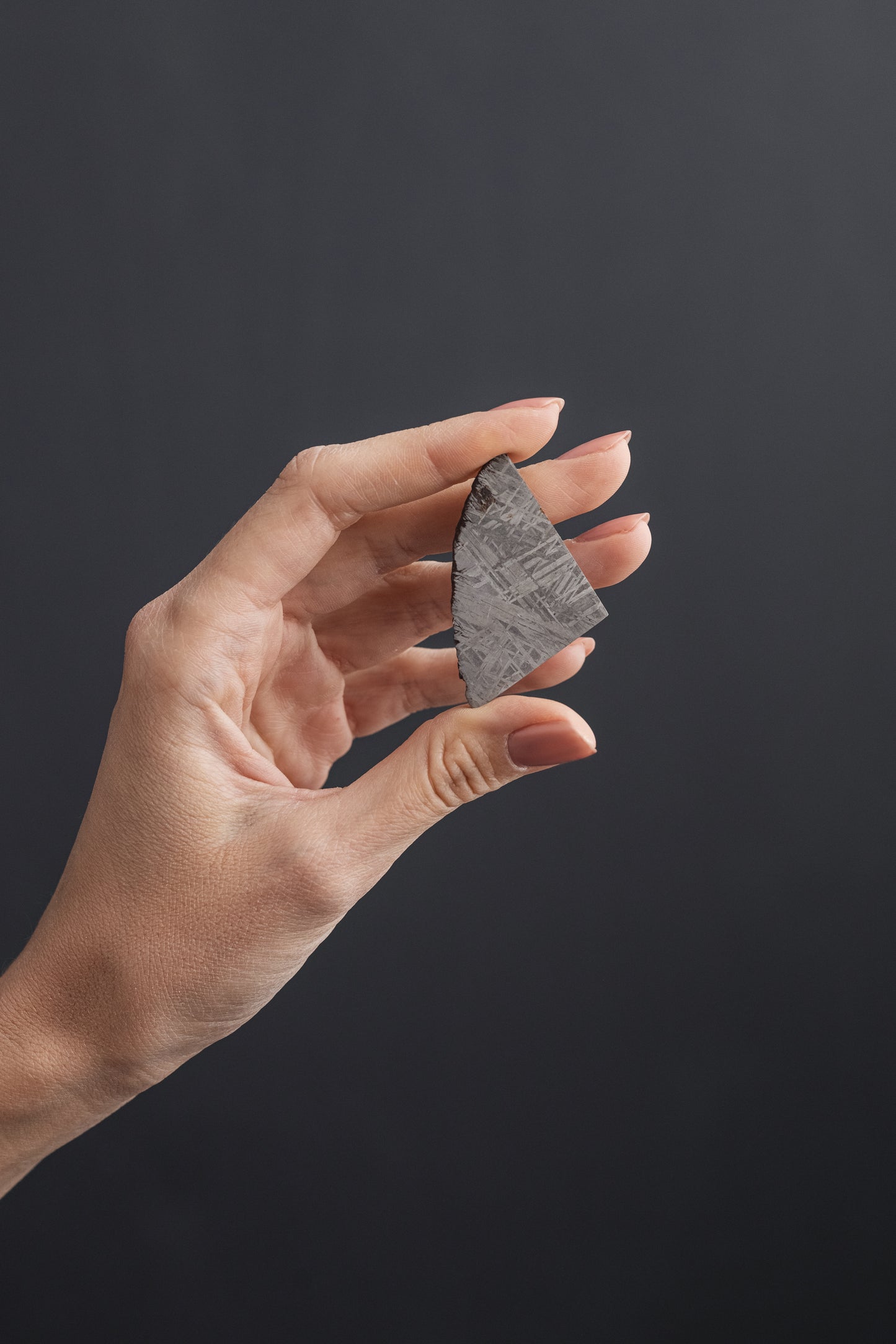 Muonionalusta meteorite slice 33.73g
