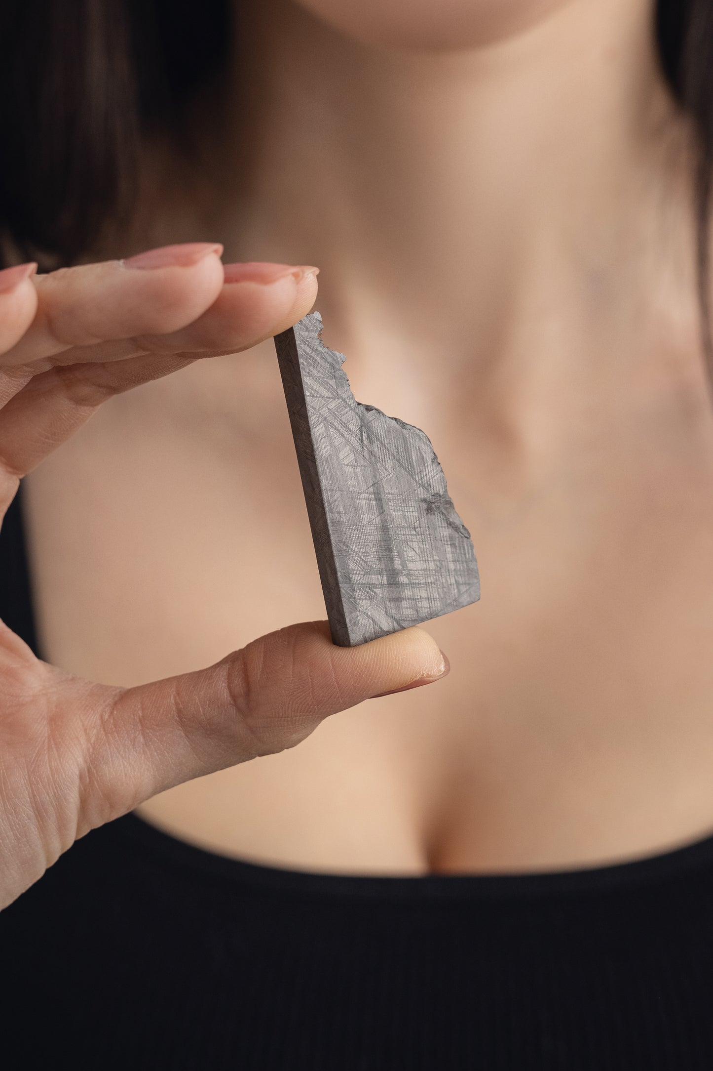Muonionalusta meteorite slice 43.38g