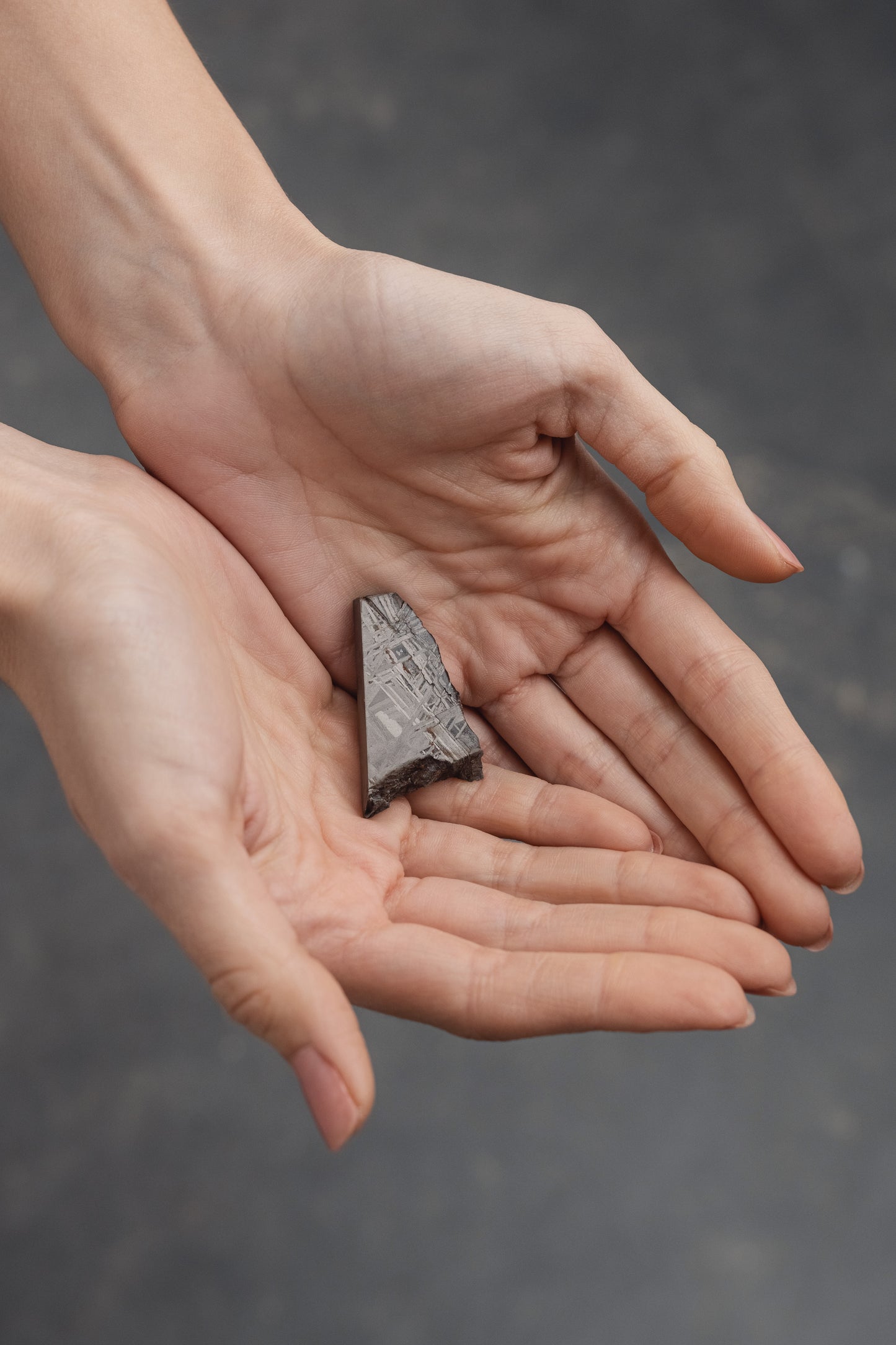 Muonionalusta meteorite slice 30.16g