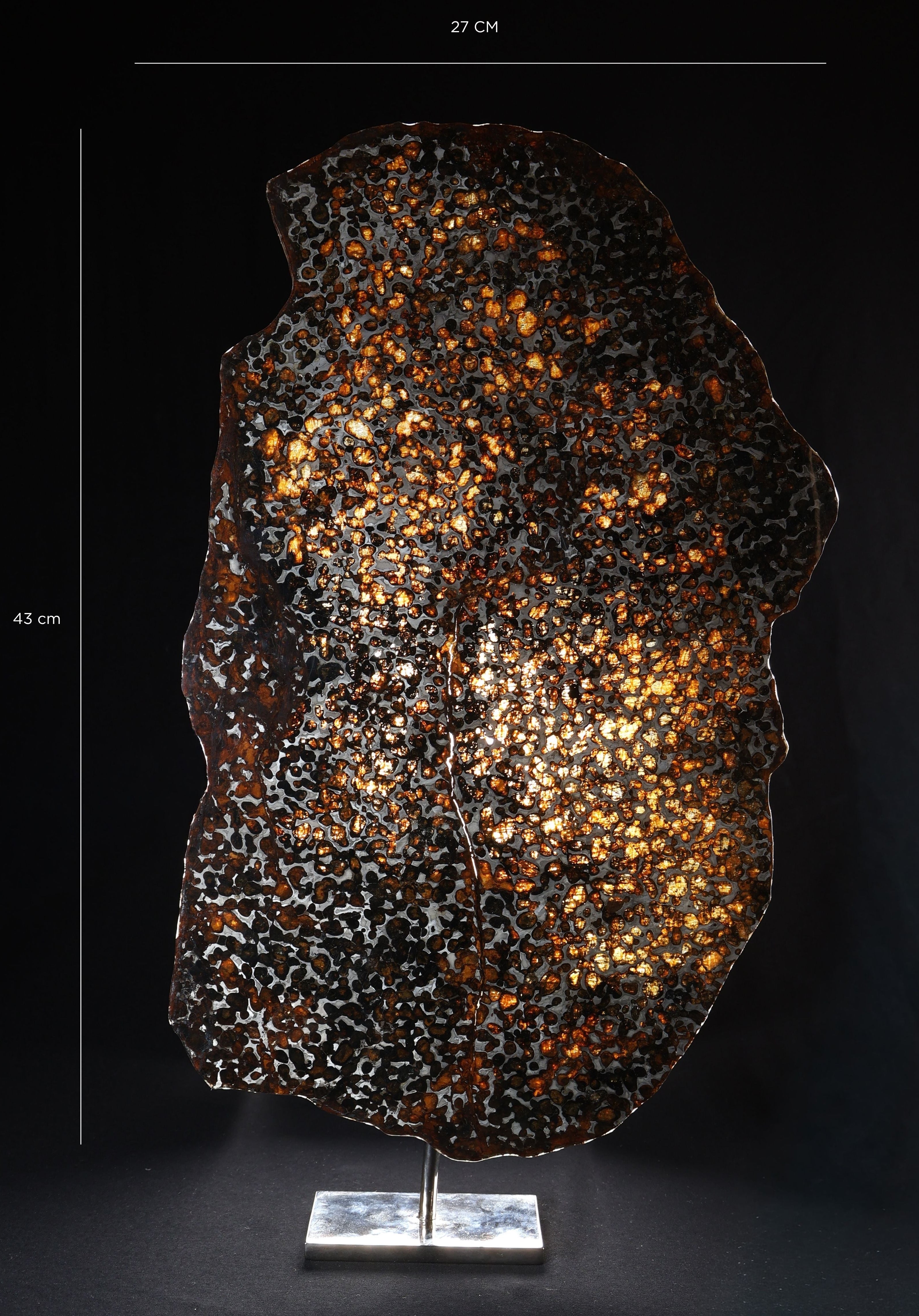 Sericho Meteorite slice from Kenya, 550 g