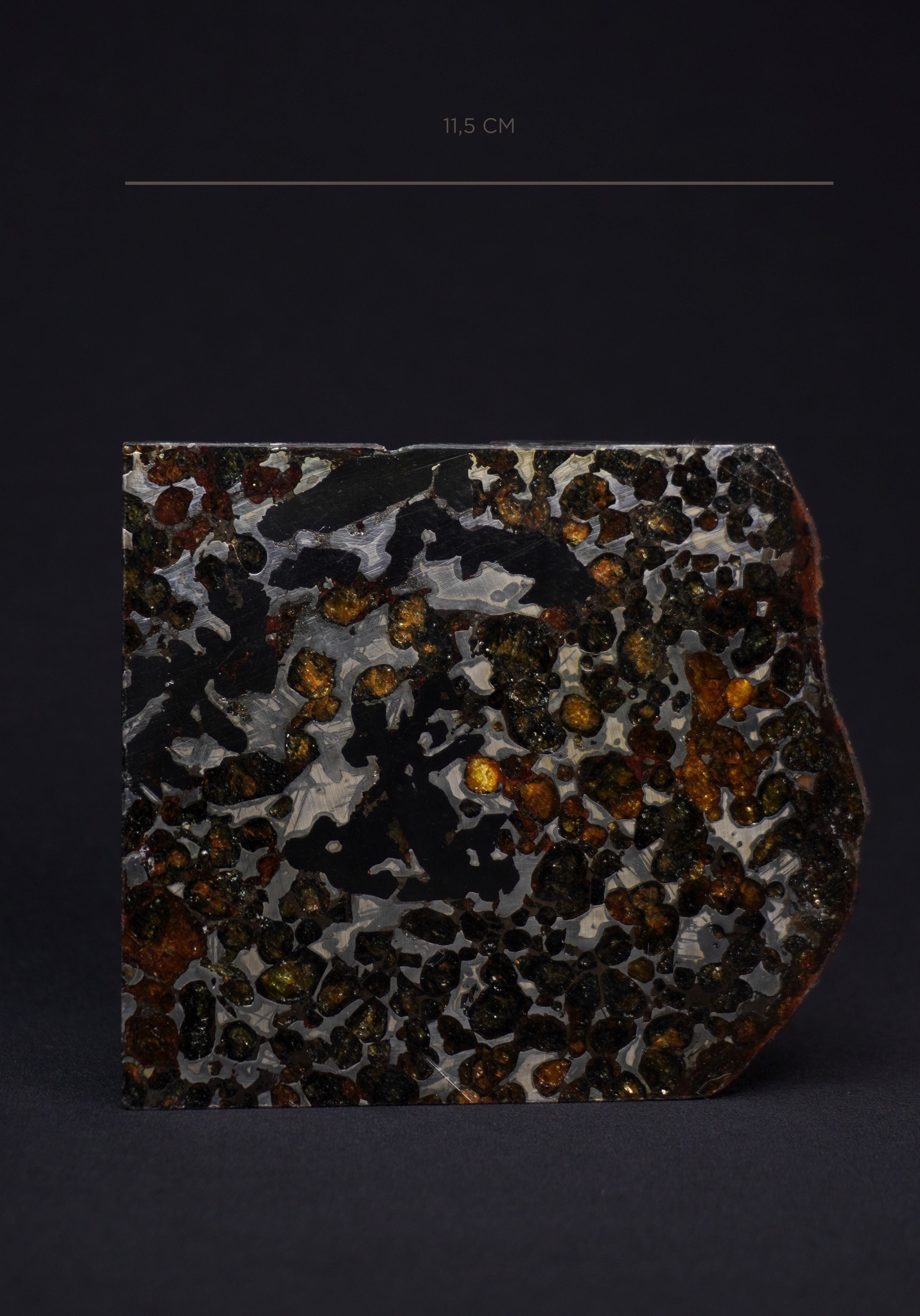 Sericho pallasite meteorite, Kenya. 836 grams end-cut.