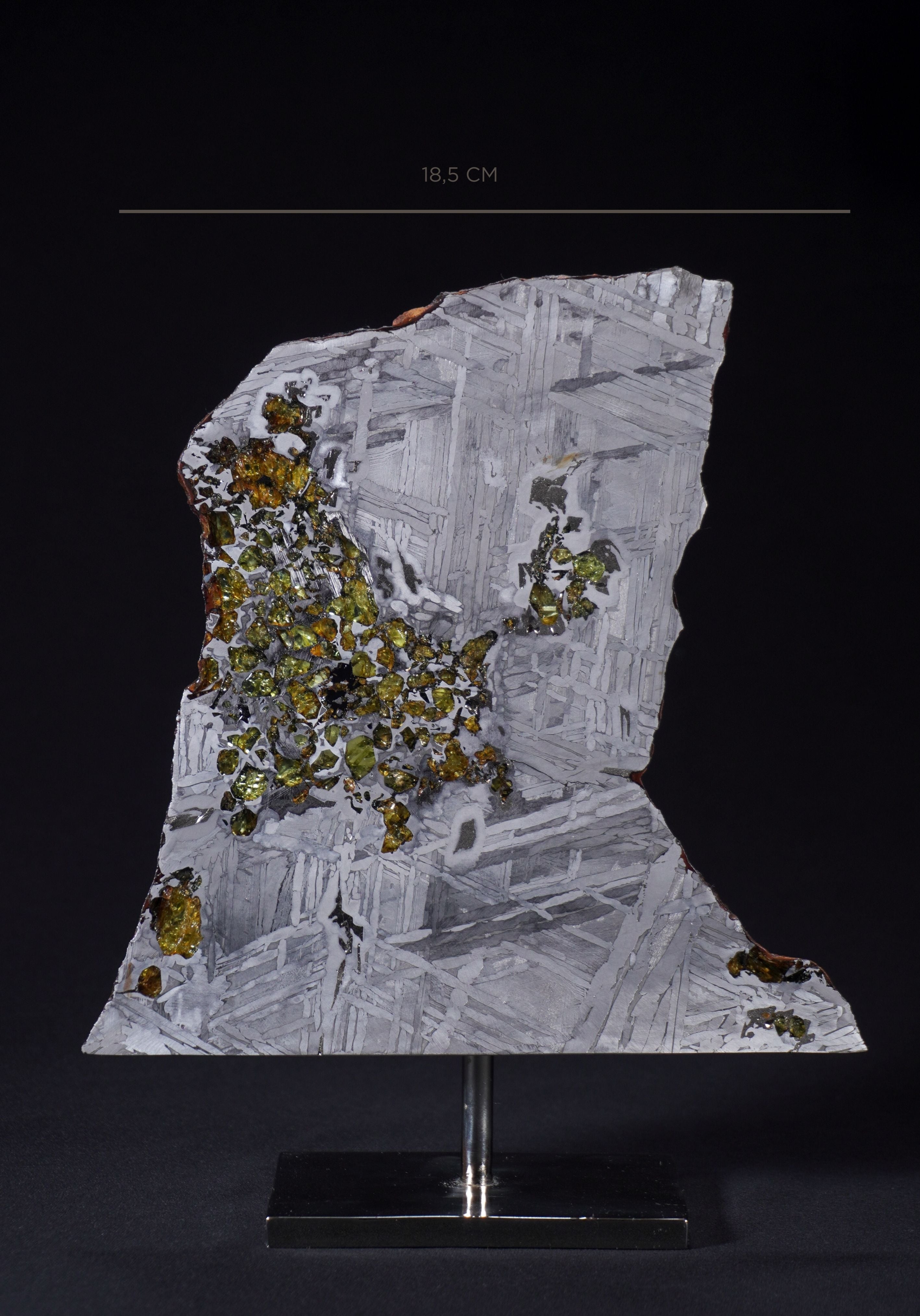 SEYMCHAN METEORITE, MAGADAN REGION, RUSSIA. 349 GRAMS.