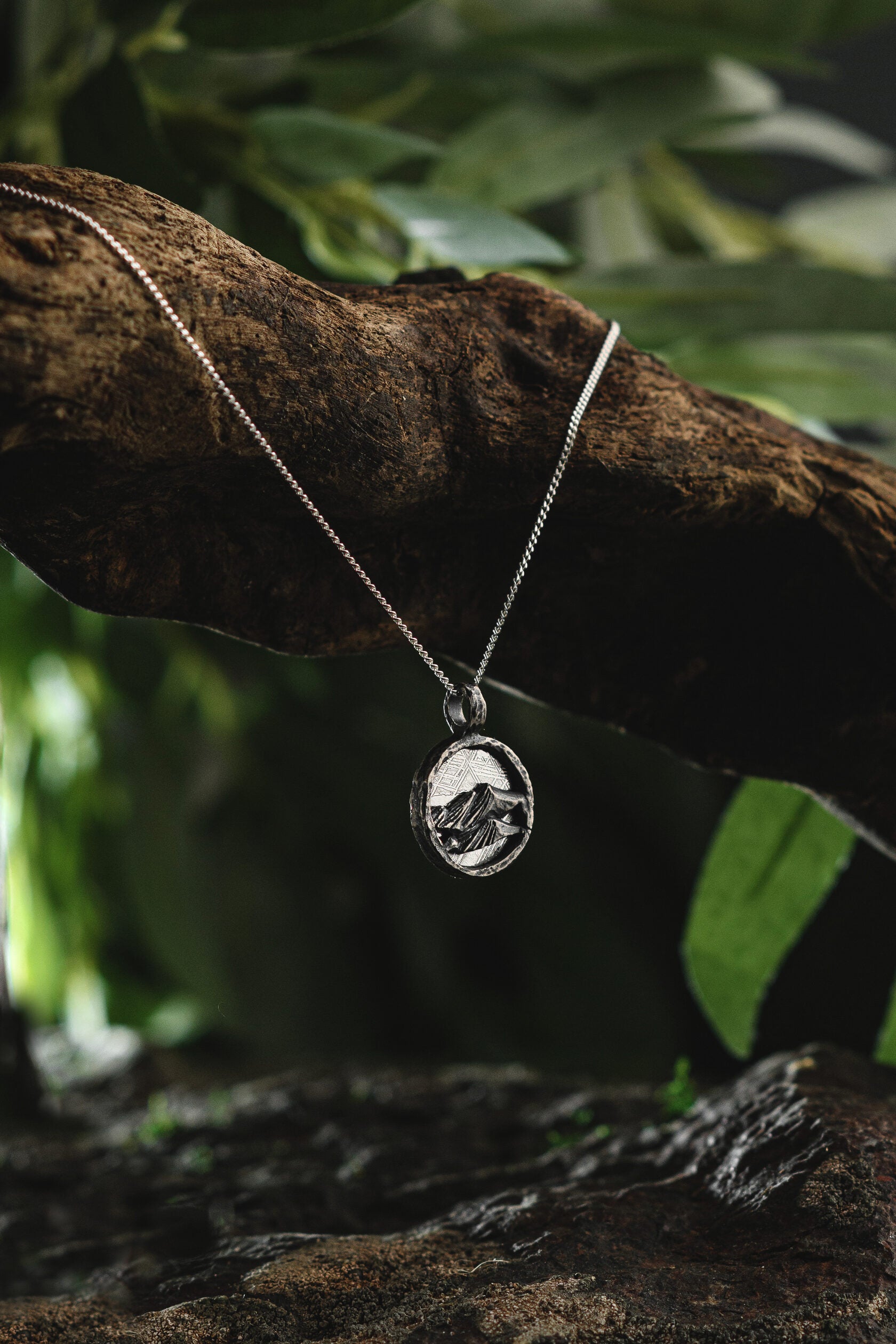 Muonionalusta meteorite - Mountain pendant